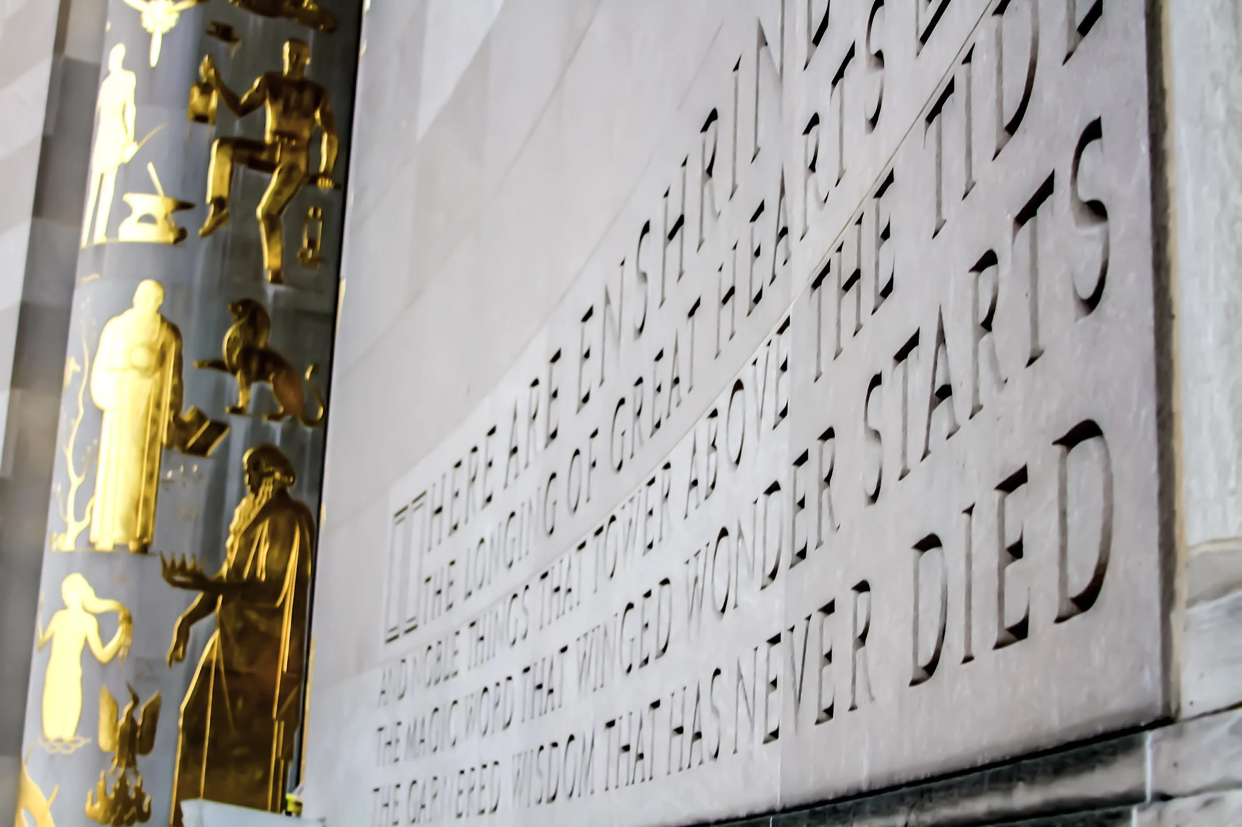 File Aug 18, 3 29 31 AM.jpeg