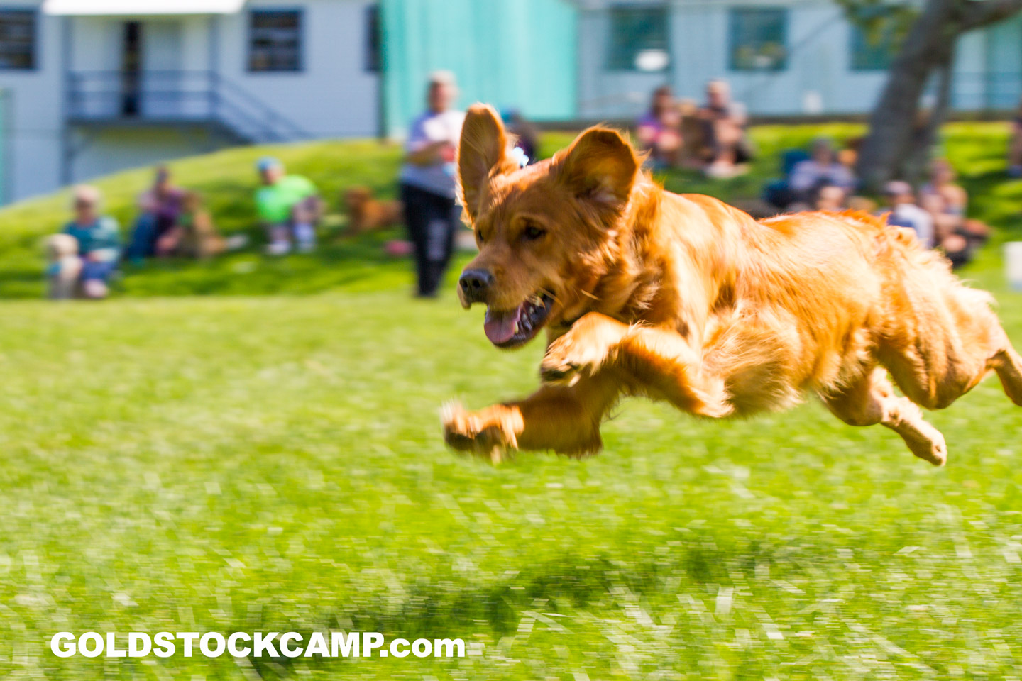 _MG_2554.jpg
