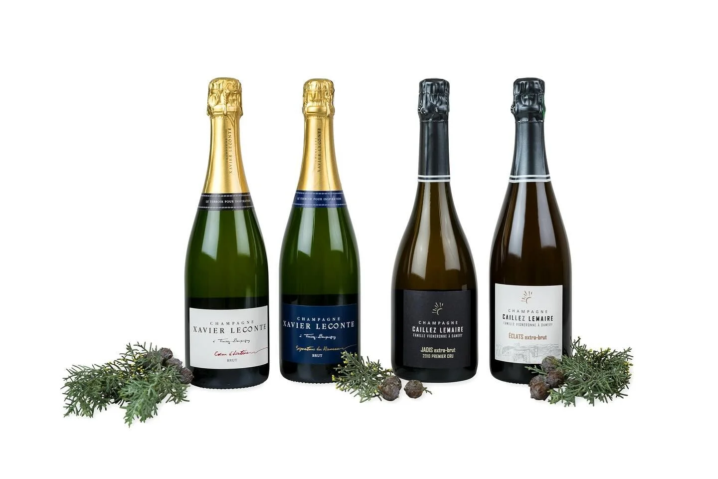 Unsere wundersch&ouml;nen November/Dezember Editionen 2024 🥂
Mit zwei herrlichen Champagnern von @champagnexavierleconte und zwei au&szlig;ergew&ouml;hnlichen Eichenfass gereiften Champagnern von @champagne_caillez_lemaire 💛