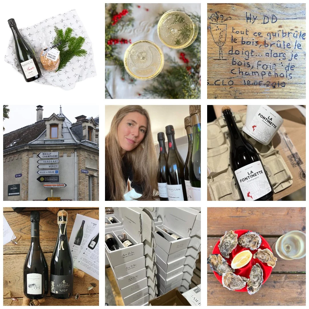 Eine Collage mit 9 unterschiedlichen Fotos