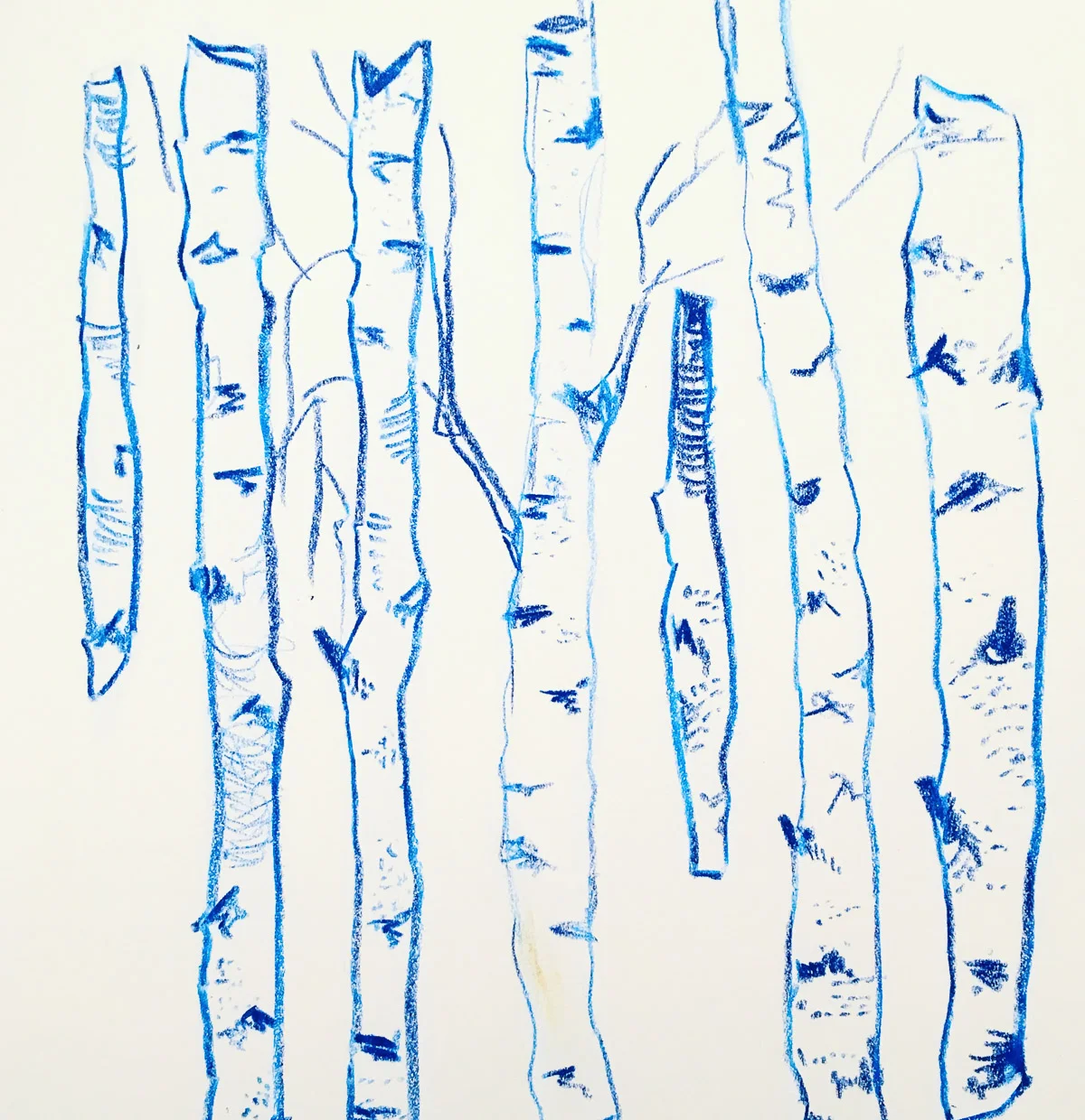 By exaggerating the subtle differences I saw between the birch tree trunks, I made them feel more individual.