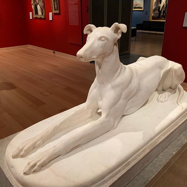 Getting free time outside the house in the middle of the weekday, a rare treat that is best used for two very good things: dogs and art.
 #dogsinart #dog #mfaboston