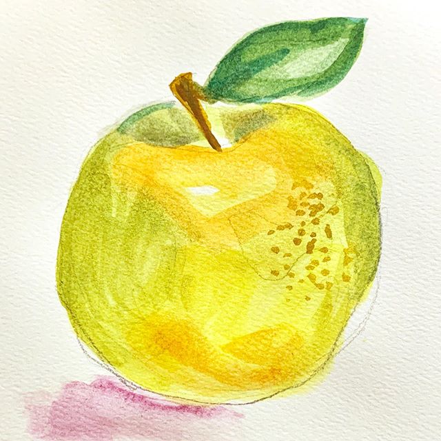 Back to quick exercises in color: Sketching fruit for teacher appreciation week :)