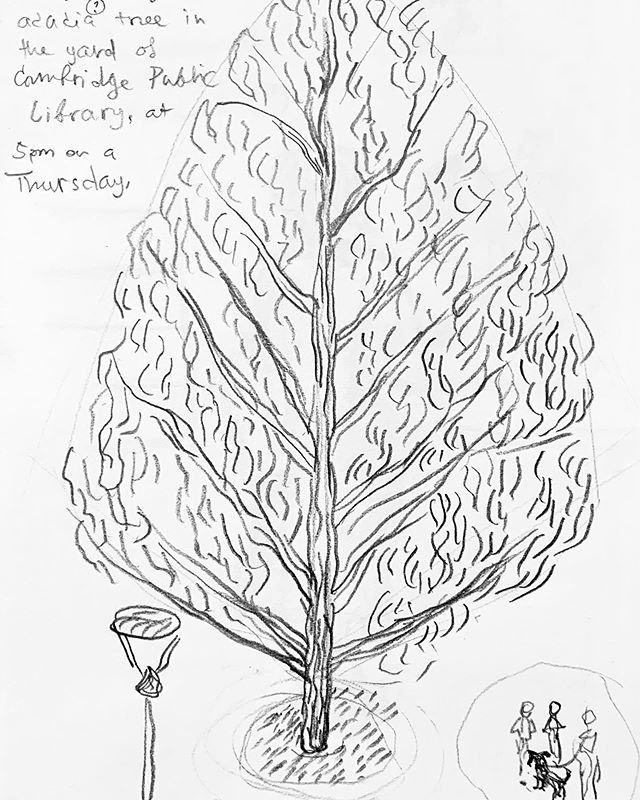 Drew a tree while browsing art books in the lovely second floor space at Cambridge. Always opens my thinking and gives me a brighter outlook, just because of how the space is set up. Good in summer, but even more necessary as a secret weapon for the 