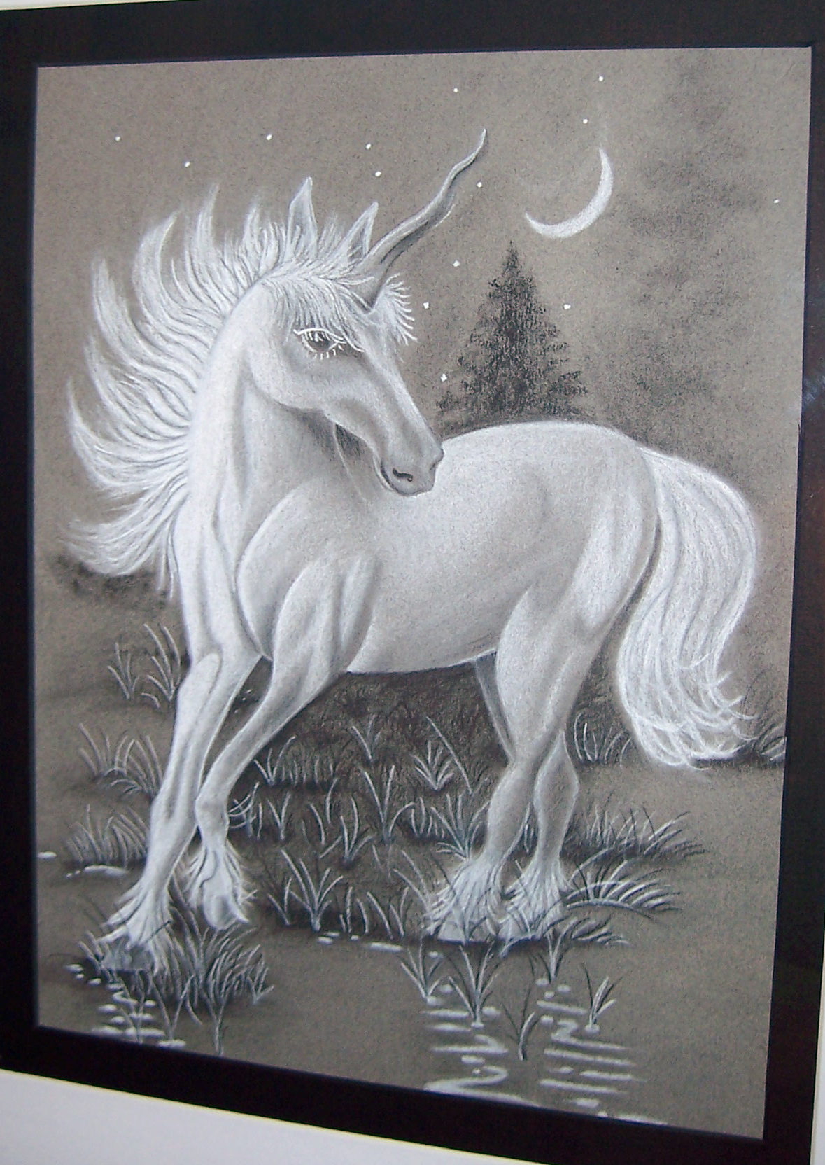 We had to bring a photo from home to draw. My niece, Kira, told me to draw the unicorn picture my mom had hanging in her bathroom. She loves horses so I wanted to draw something she would be proud to hang up in her room. This is my favorite piece of all that I have done so far. I had it professionally matted and framed and she hung it up herself above her bed.