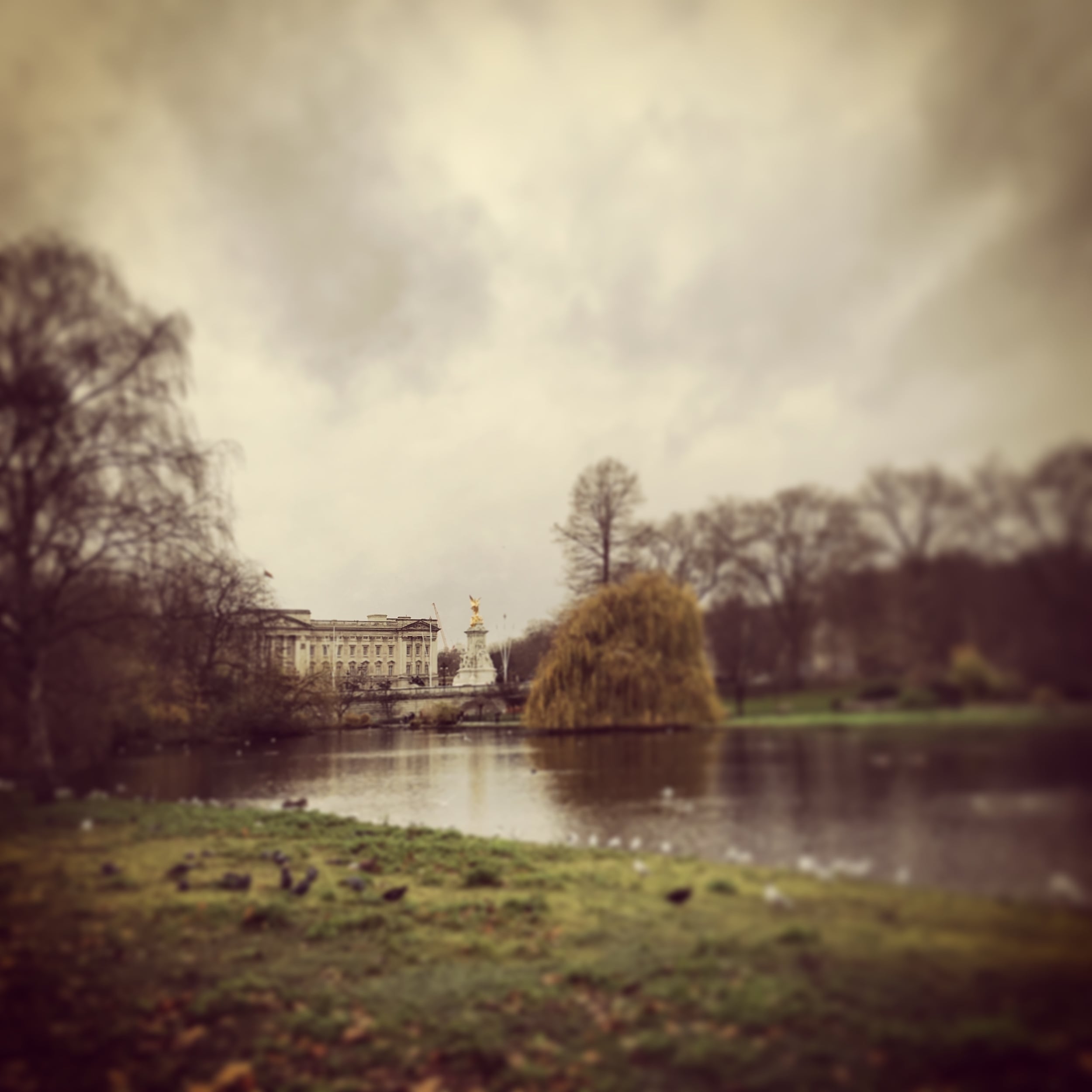  Buckingham Palace and St. James's Park 