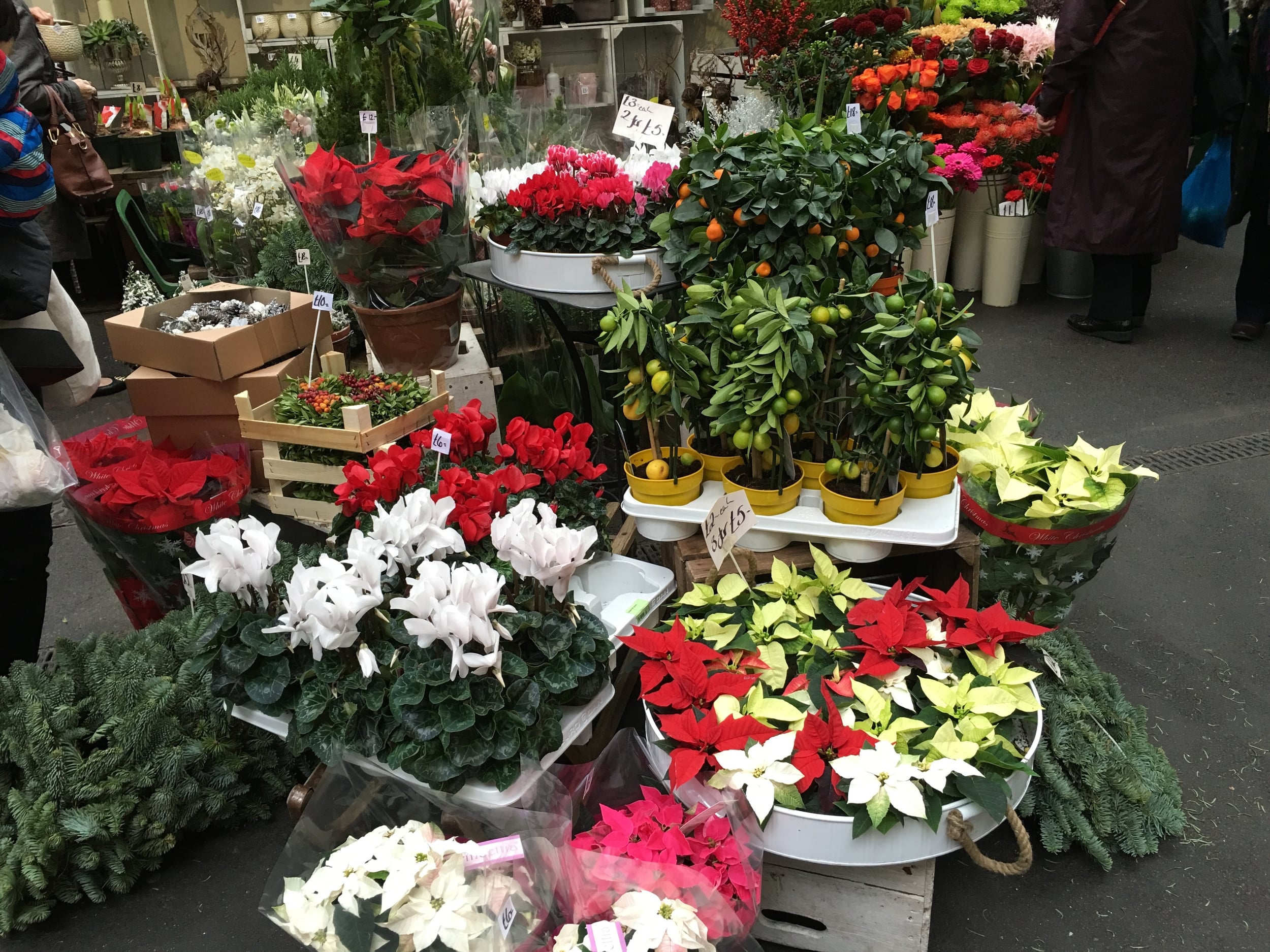  Christmas flower stall 