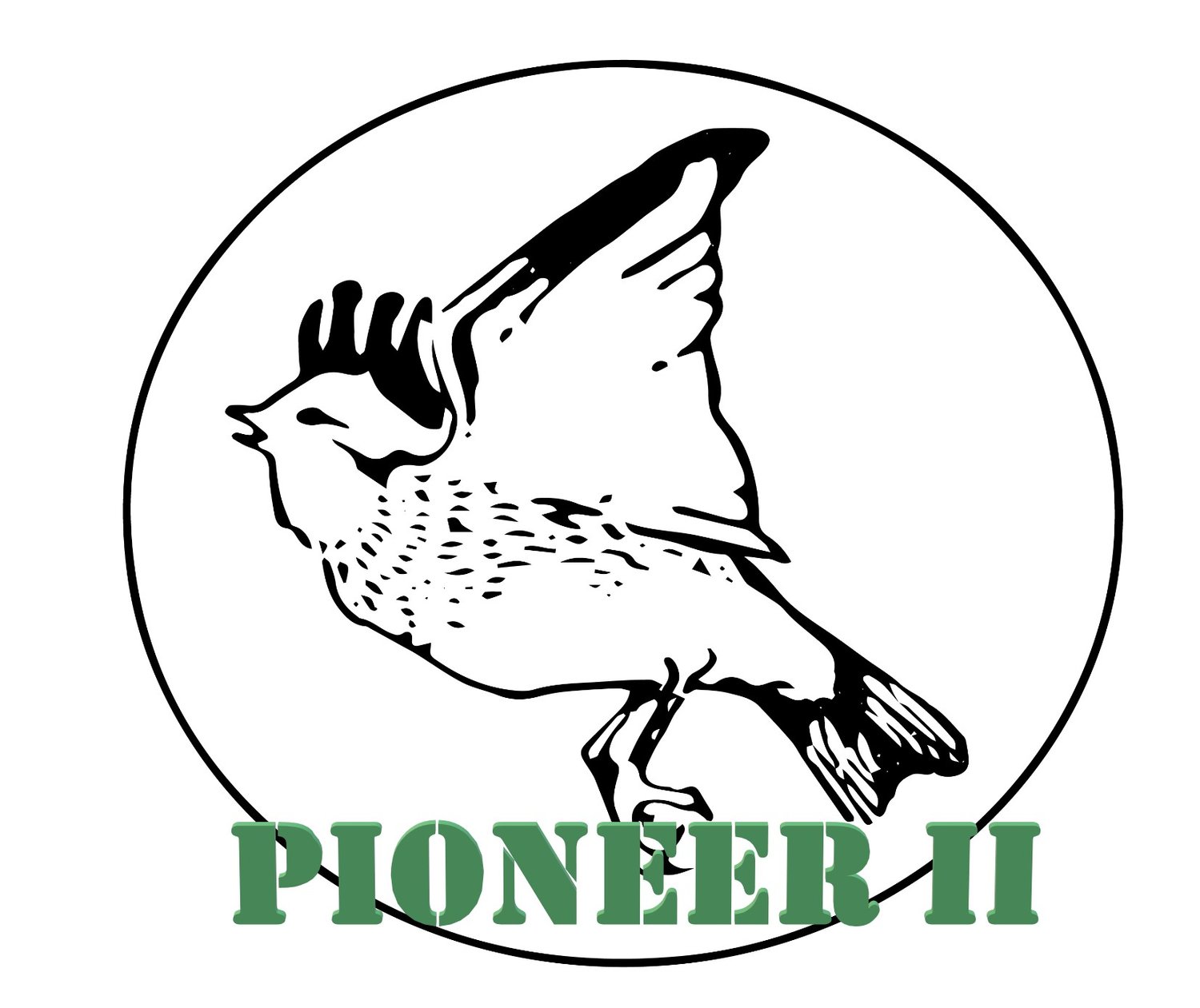  PIONEER II