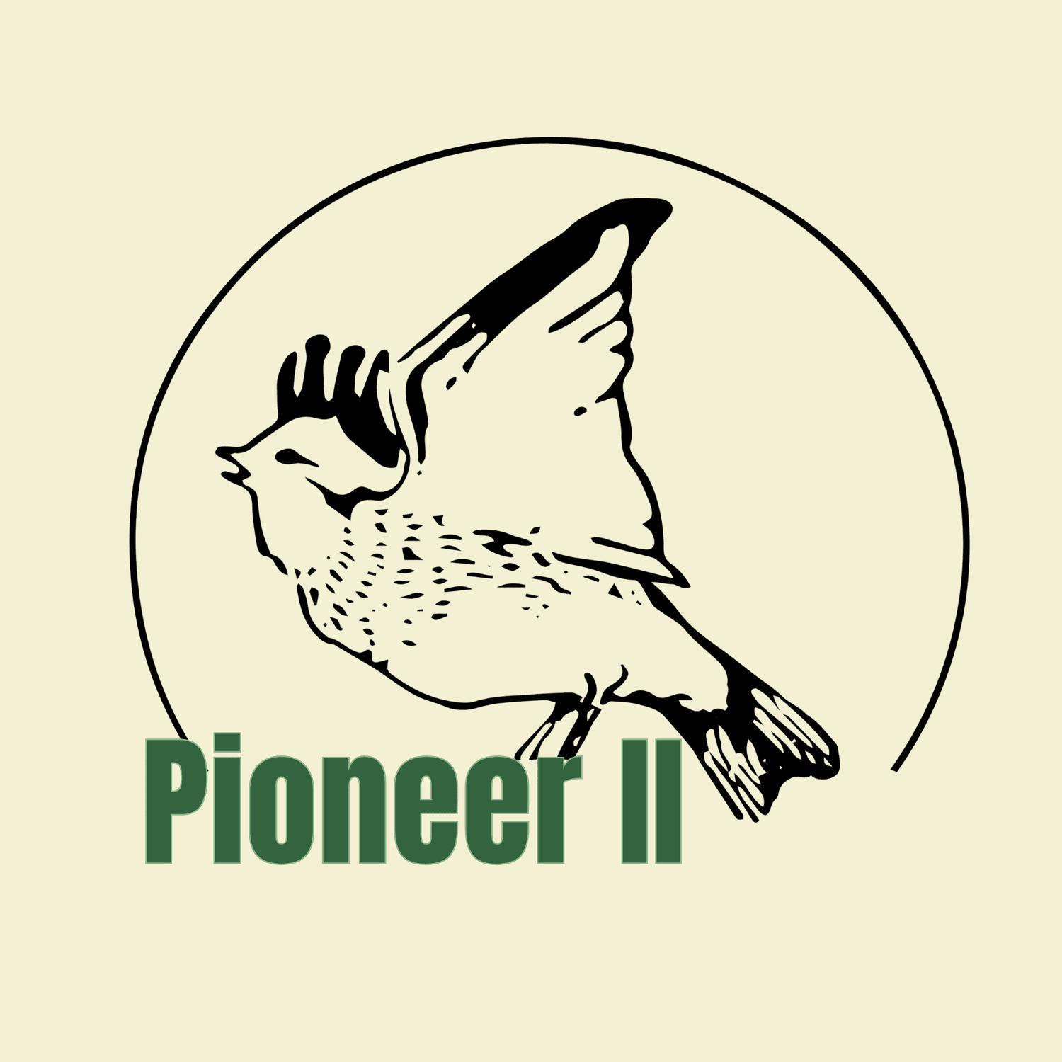  PIONEER II