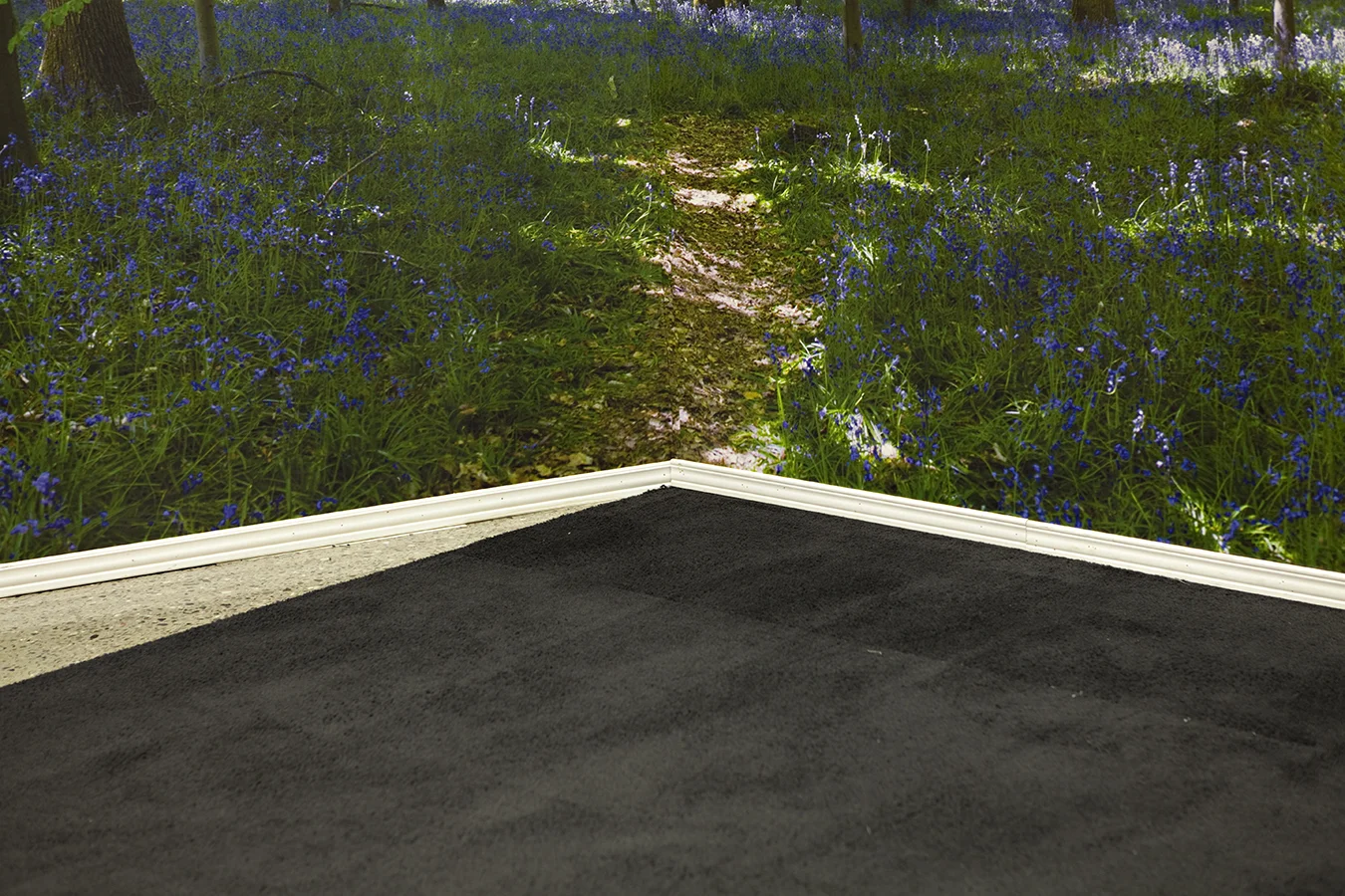   Path.  2010. C-Print. 18" x 12". 