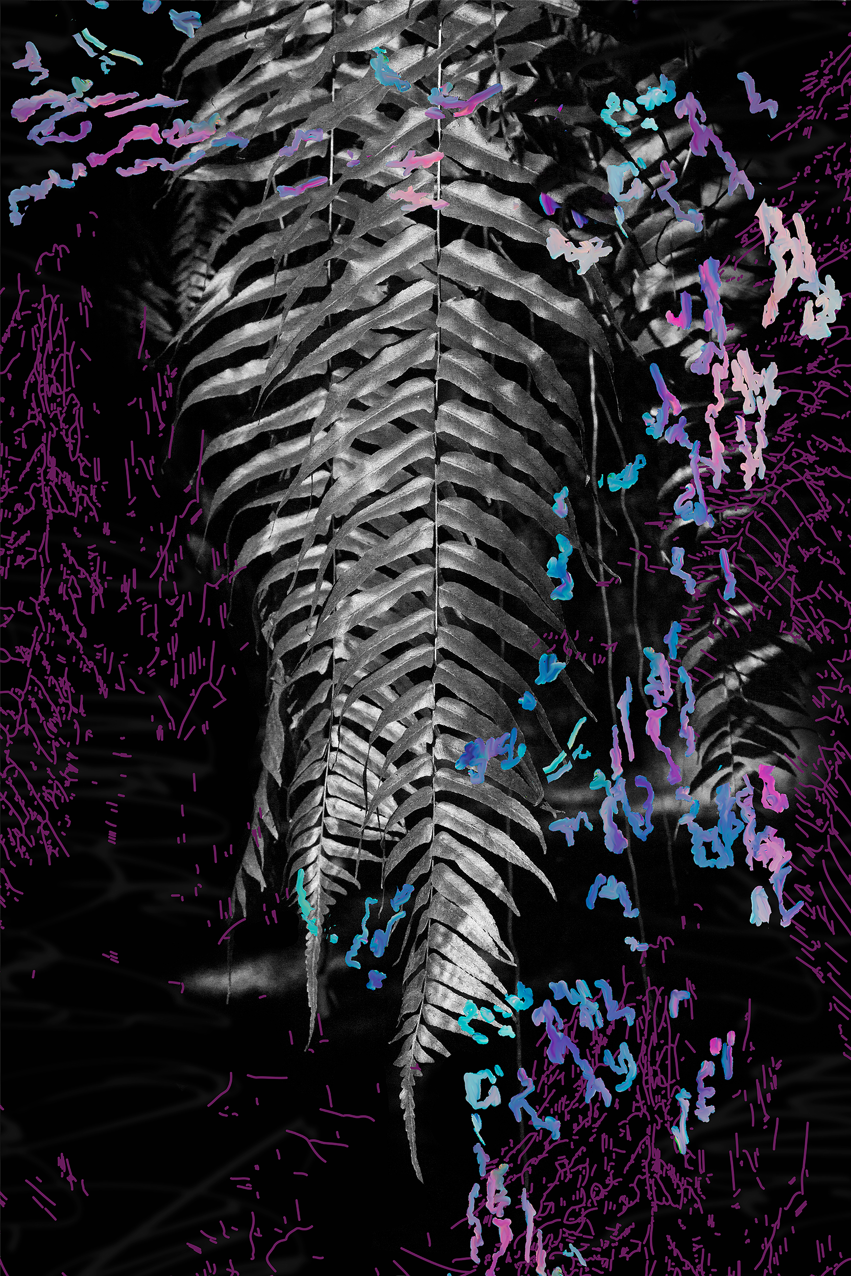 02_palms_bw_painted_overlay_2500px.png