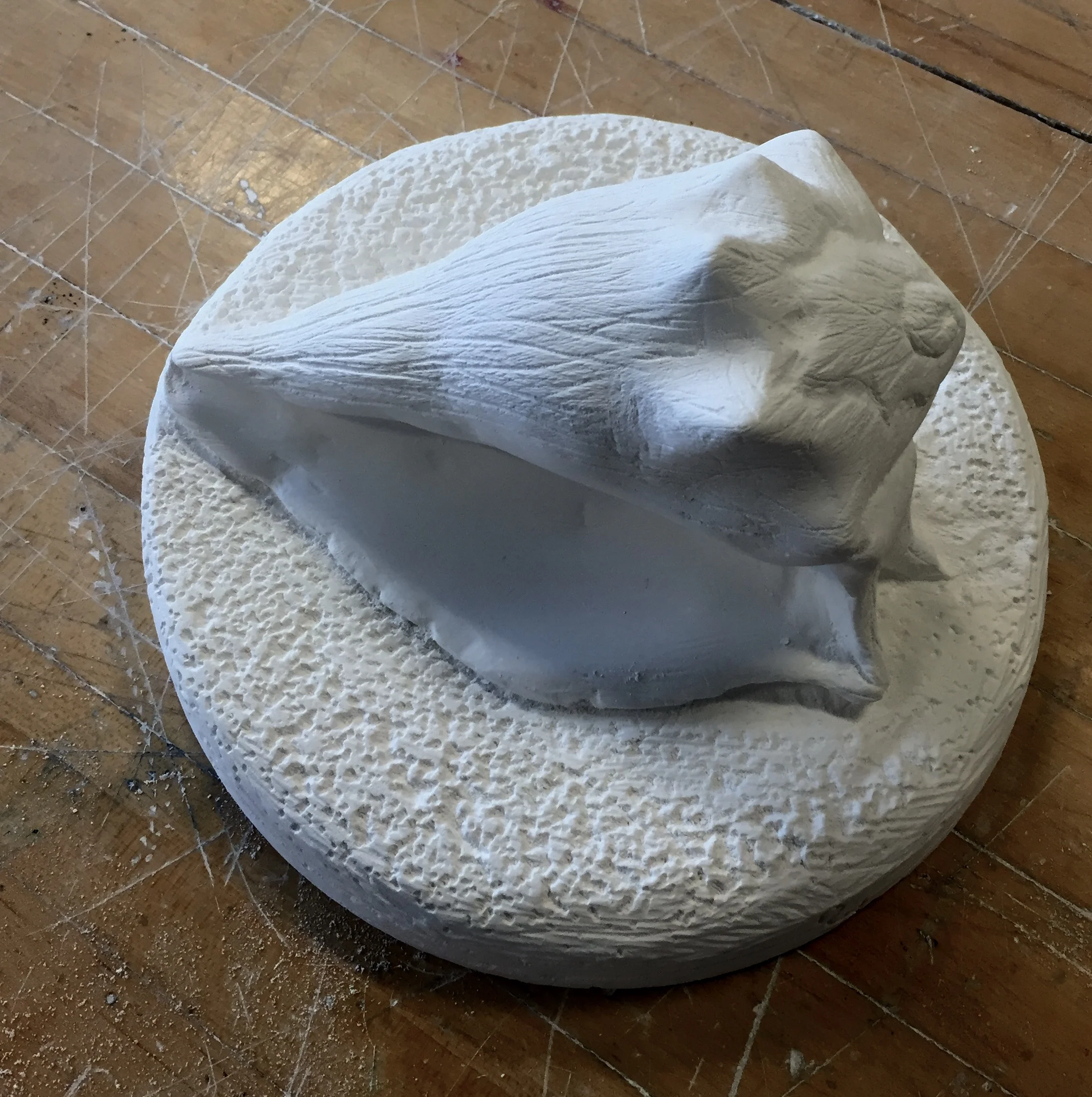 Plaster Project 1.jpeg