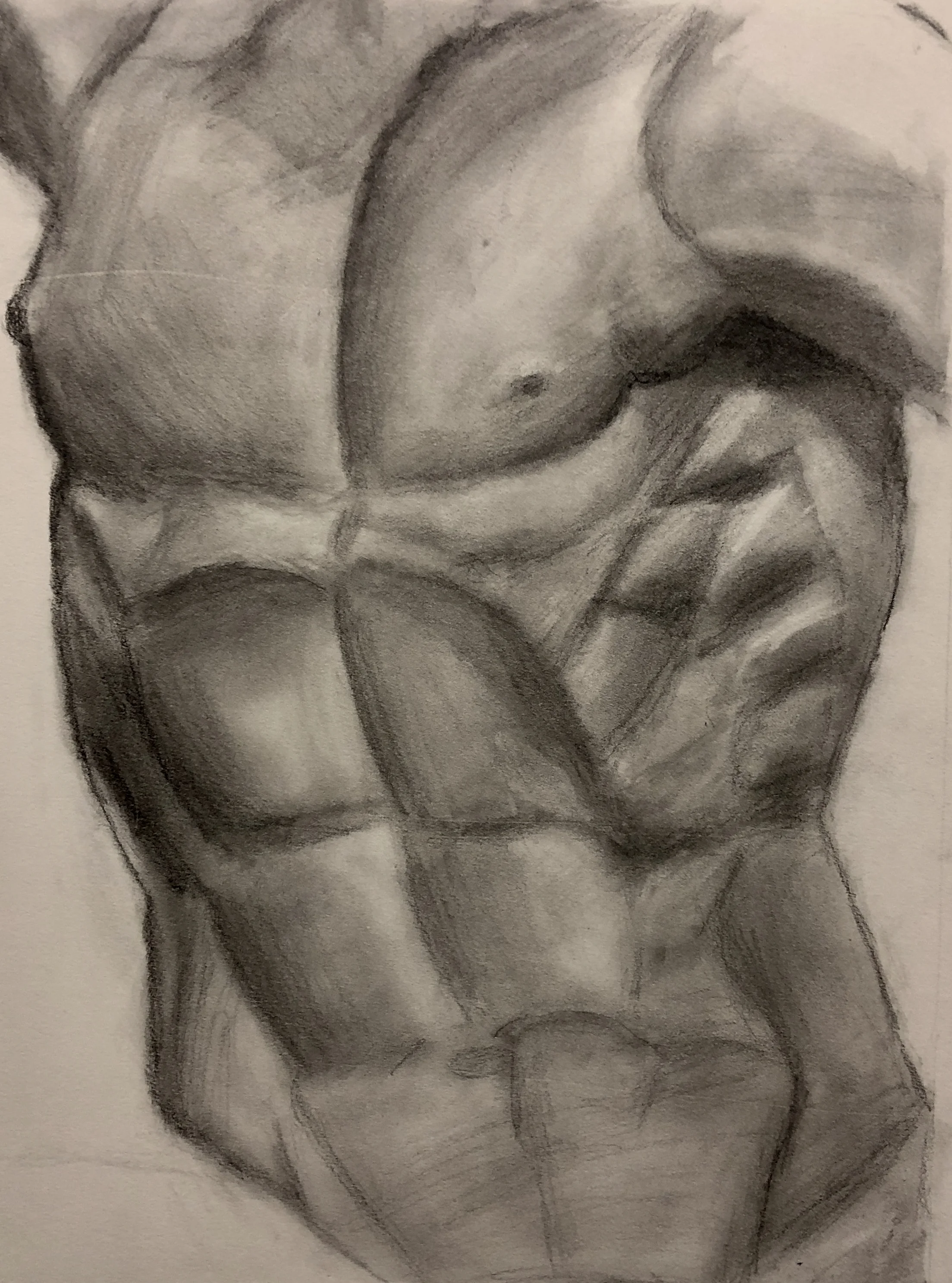 anatomical drawing midterm.jpg