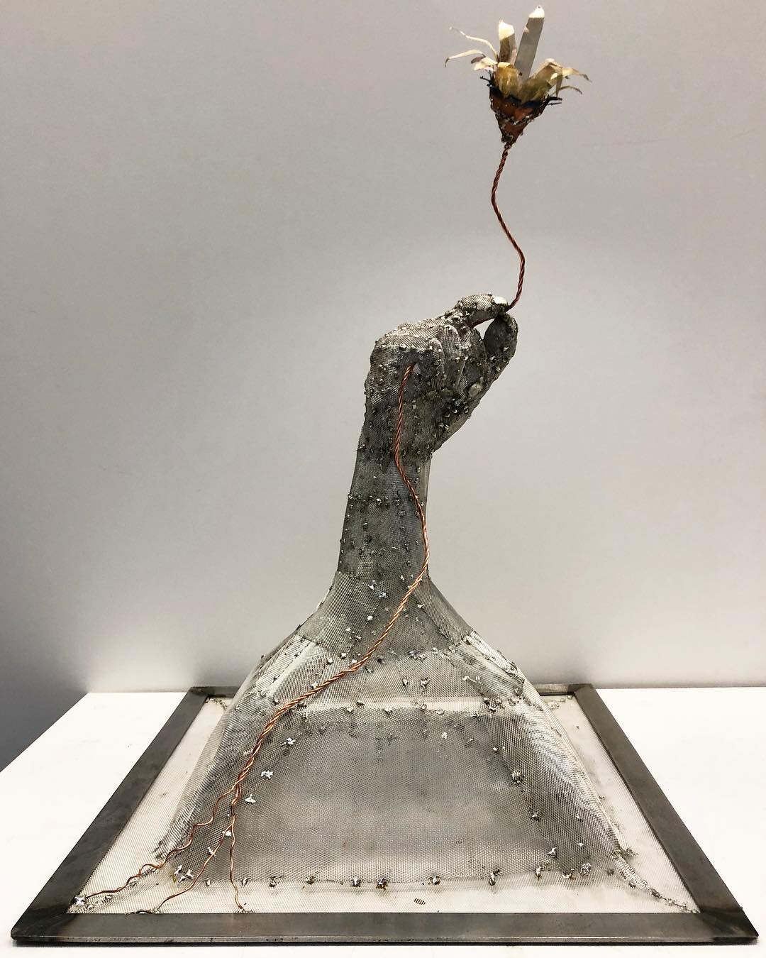 &quot;Reclamation&quot; 
Aluminum wire mesh, copper wire mesh, brass wire mesh, solder, steel.
This is from a workshop at @iffinc (International Flavors and Fragrances) for our Man and Beast class with @wadeschuman. We each took home an unlabelled fr