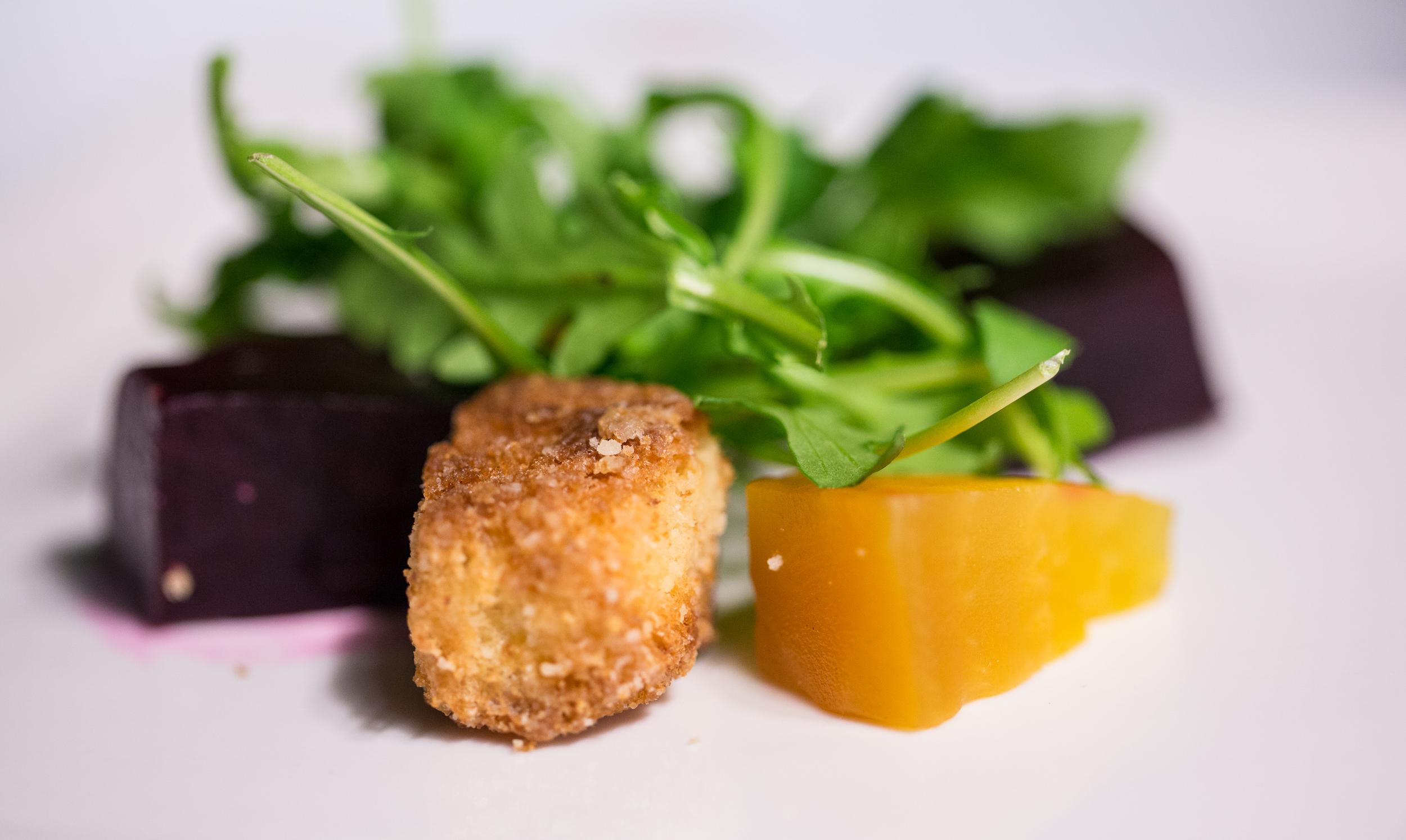 Gourmet Symphony: Taste Your Music Benefit Concert