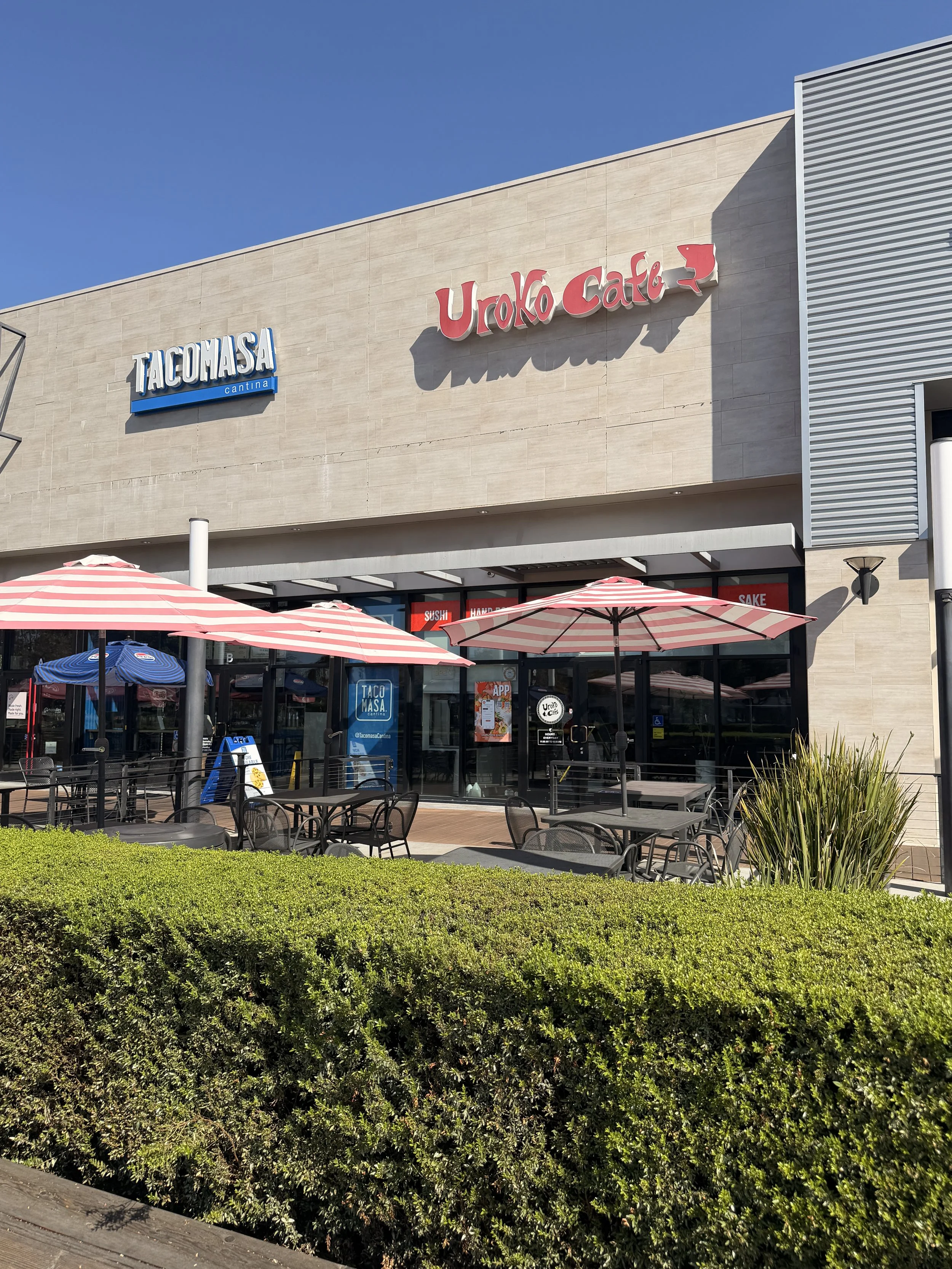 Uroko Poke Cypress.JPG