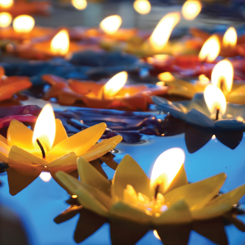 Lotus-shaped candles float in a pond.