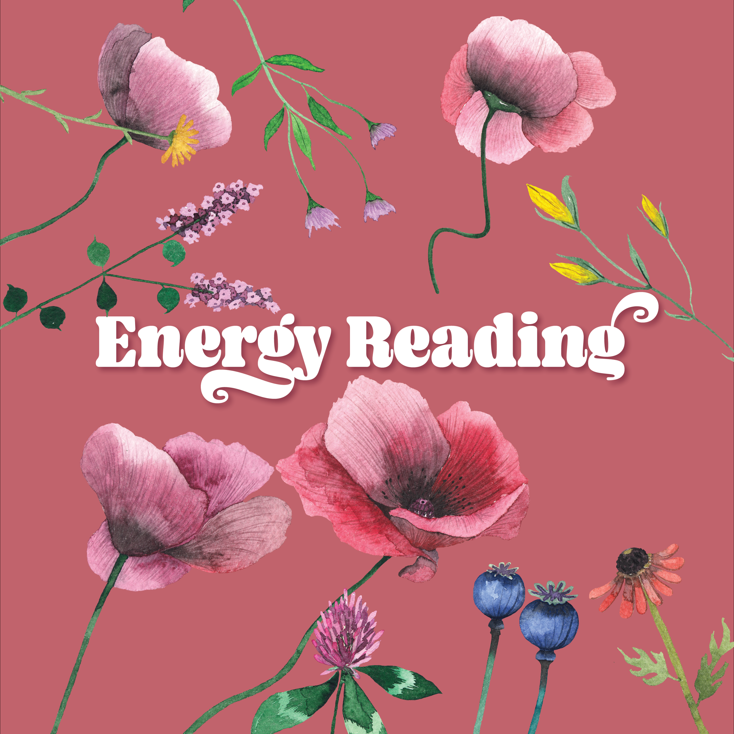 EnergyReadingCover.png
