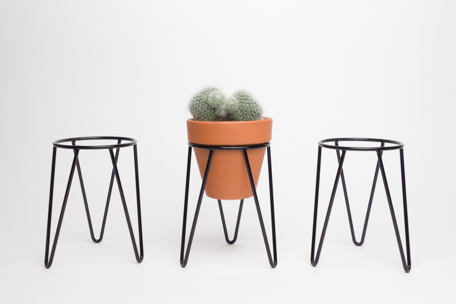 Mini Hairpin Wire Plant Stands and Terracotta Pot with Mammillaria Cactus