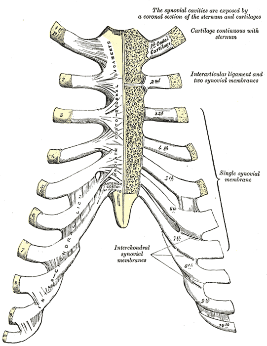 Rib Joints, Raising Boys, and Reminiscences