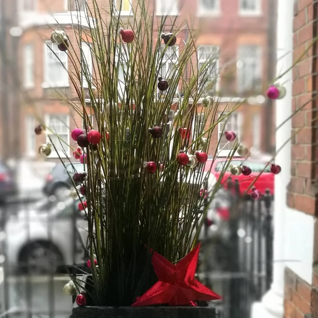 My Christmas window is ready and it's only 10 days to Christmas, yay! 🎄🎊🎅 #christmasstyling #christmasgrass #londoninteriordesigner #swissinteriordesigner #studiofetscher