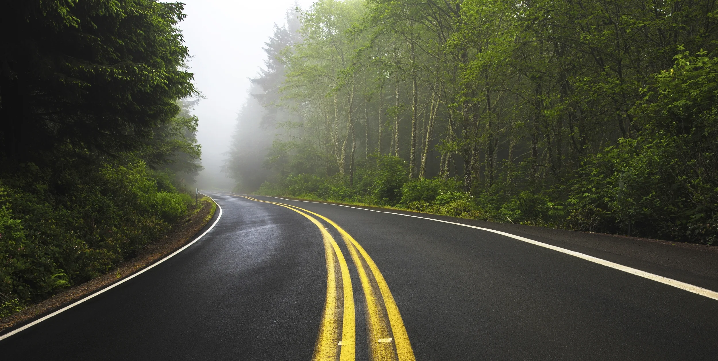 iStock_000066091155_Large.jpg