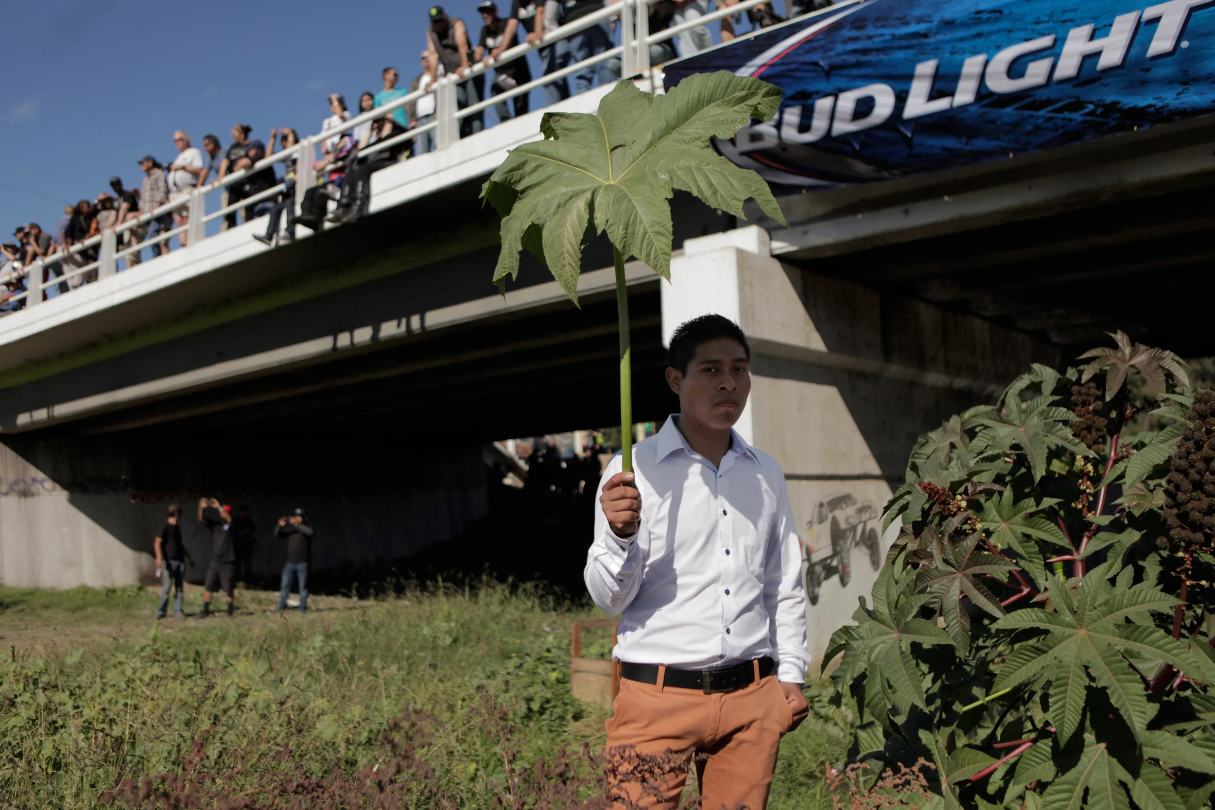 Theoy-and-the-leaf-.jpg