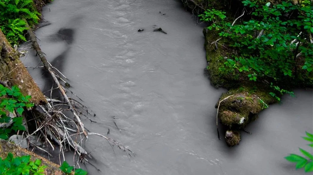 Damien Jurado - Over Rainbows and Rainier
