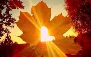Autumn sun.jpg