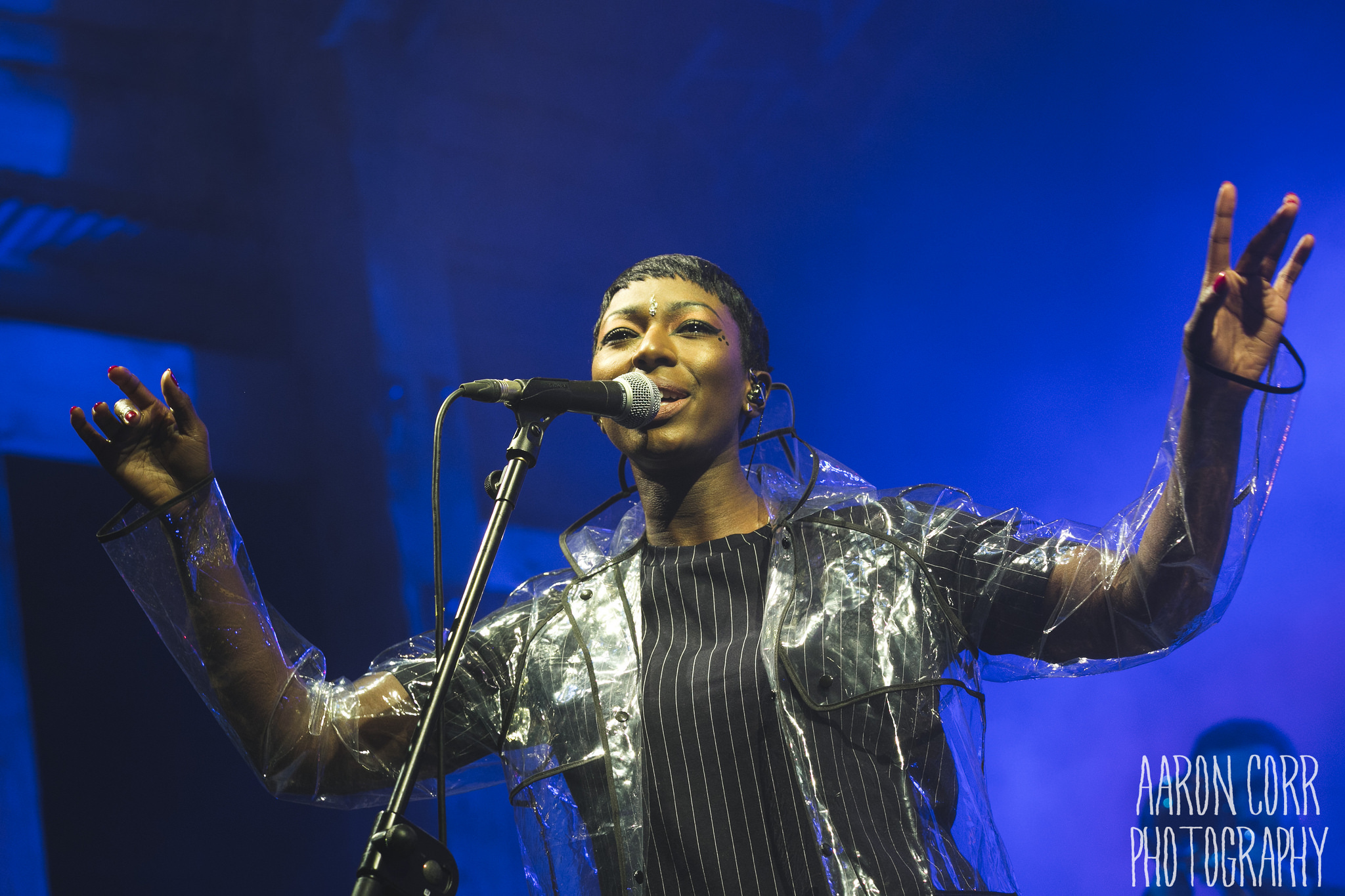 Bonobo