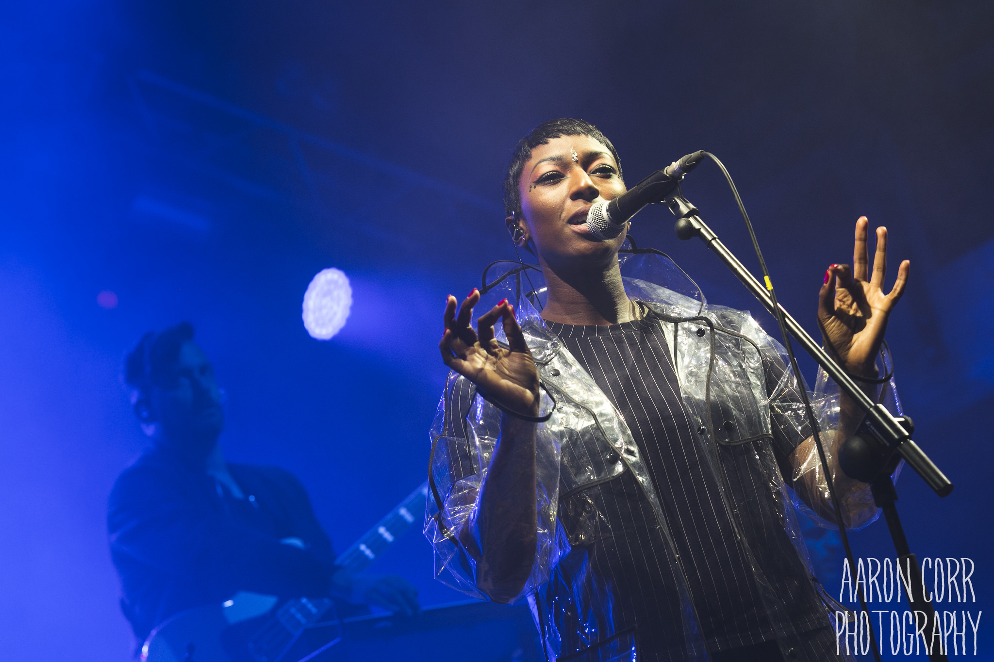 Bonobo