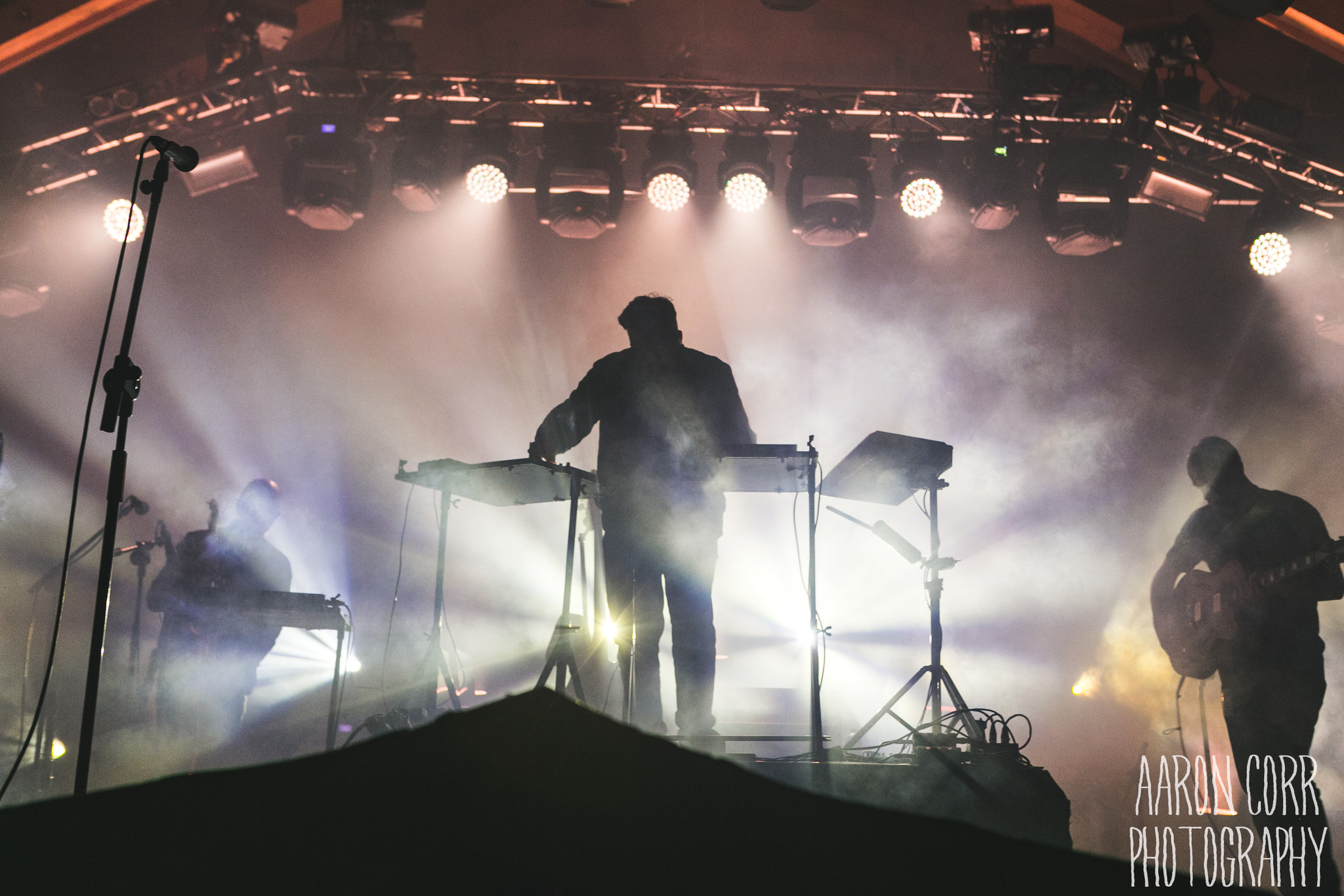Bonobo