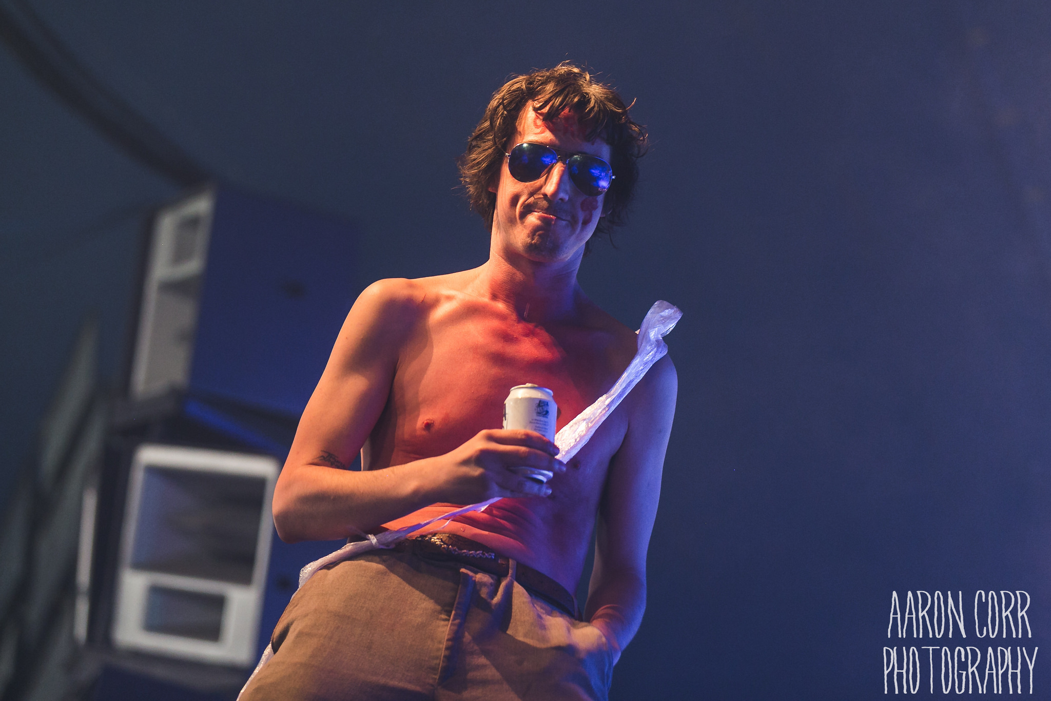 The Moonlandingz