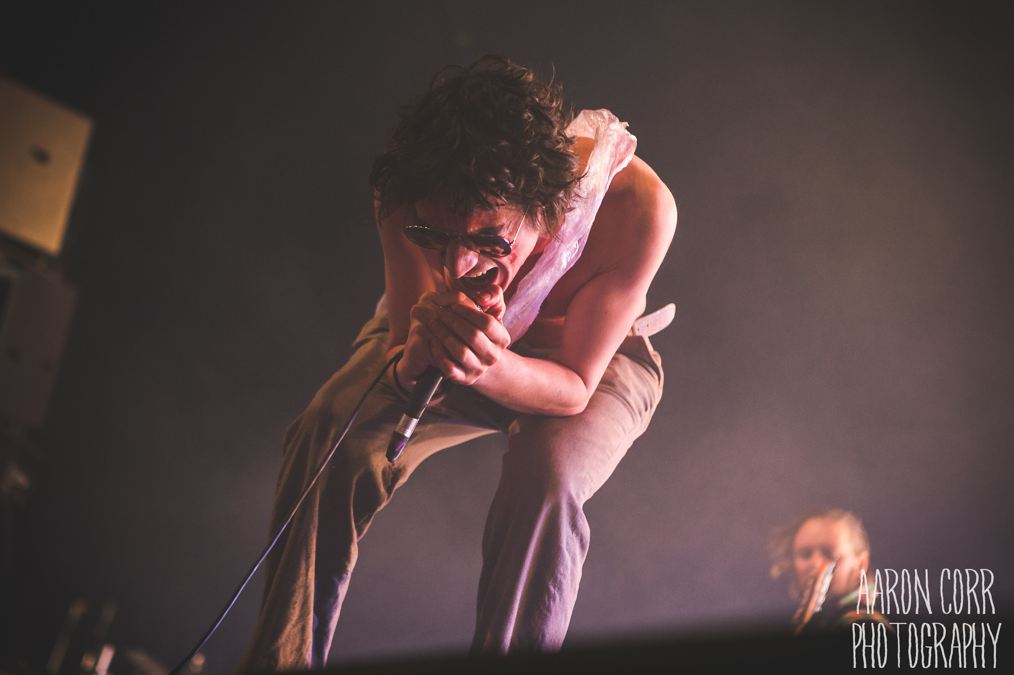 The Moonlandingz