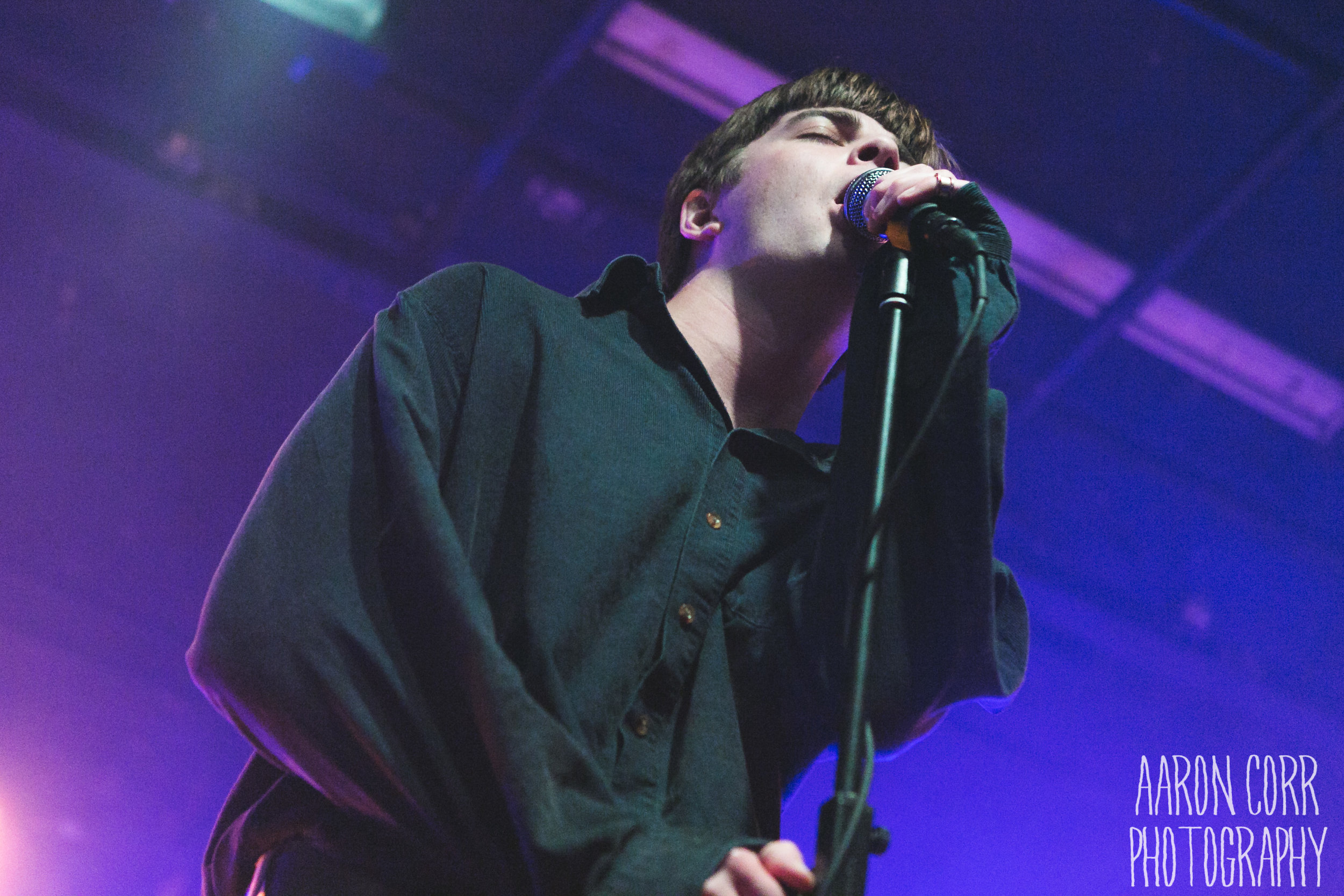 The Fontaines