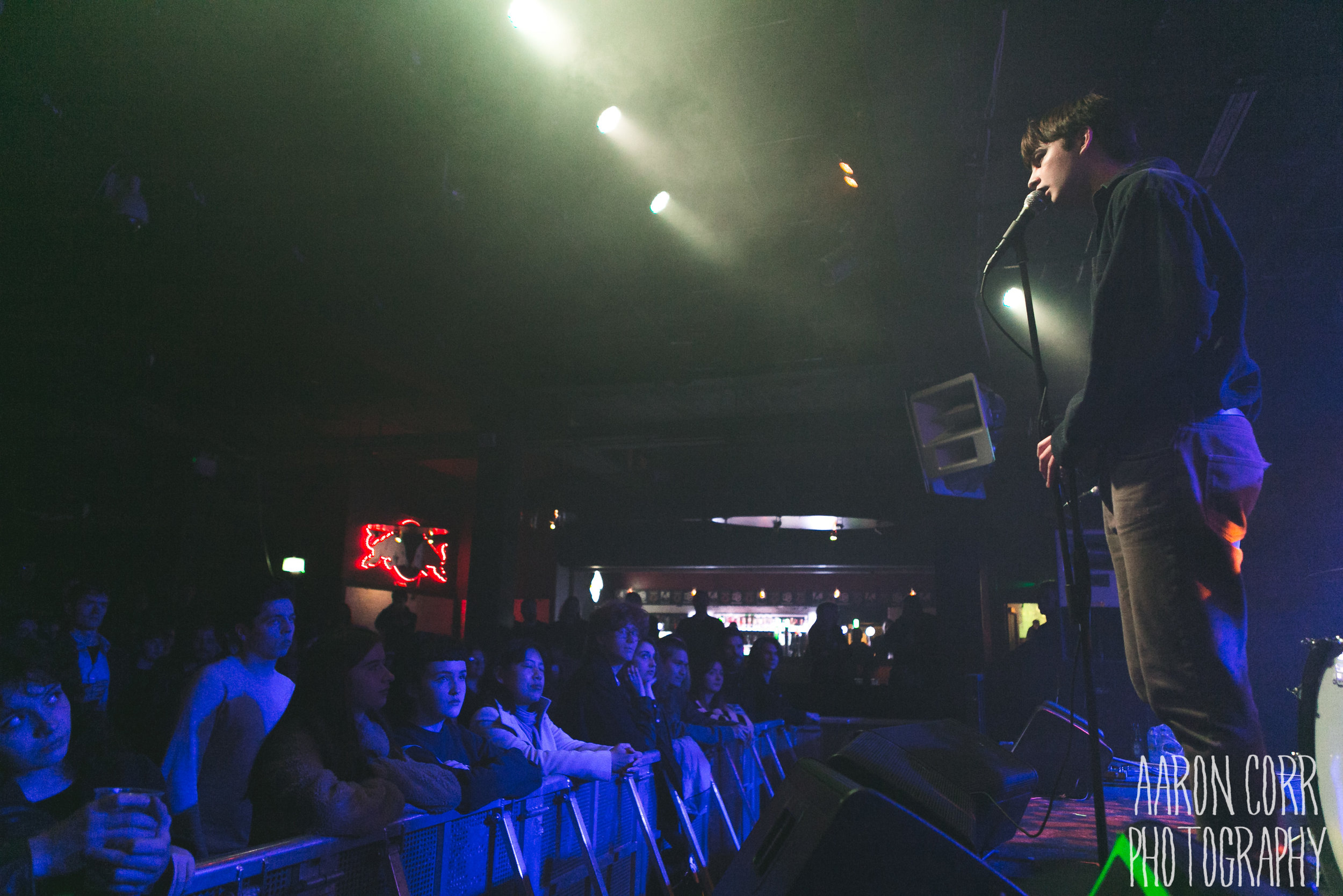The Fontaines