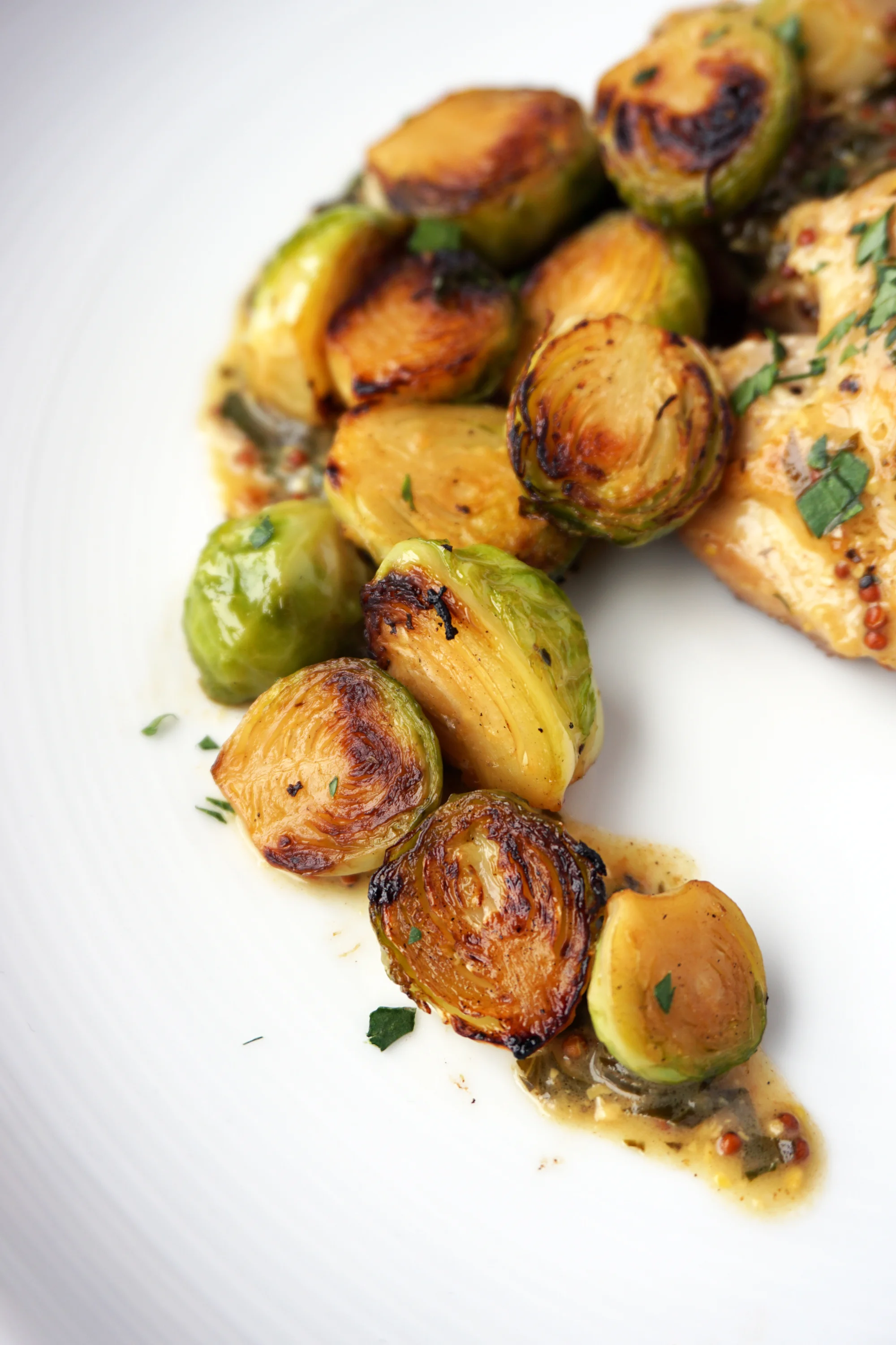 Chicken Thighs and Brussels Sprouts with Mustard Sauce — Broke and Cooking