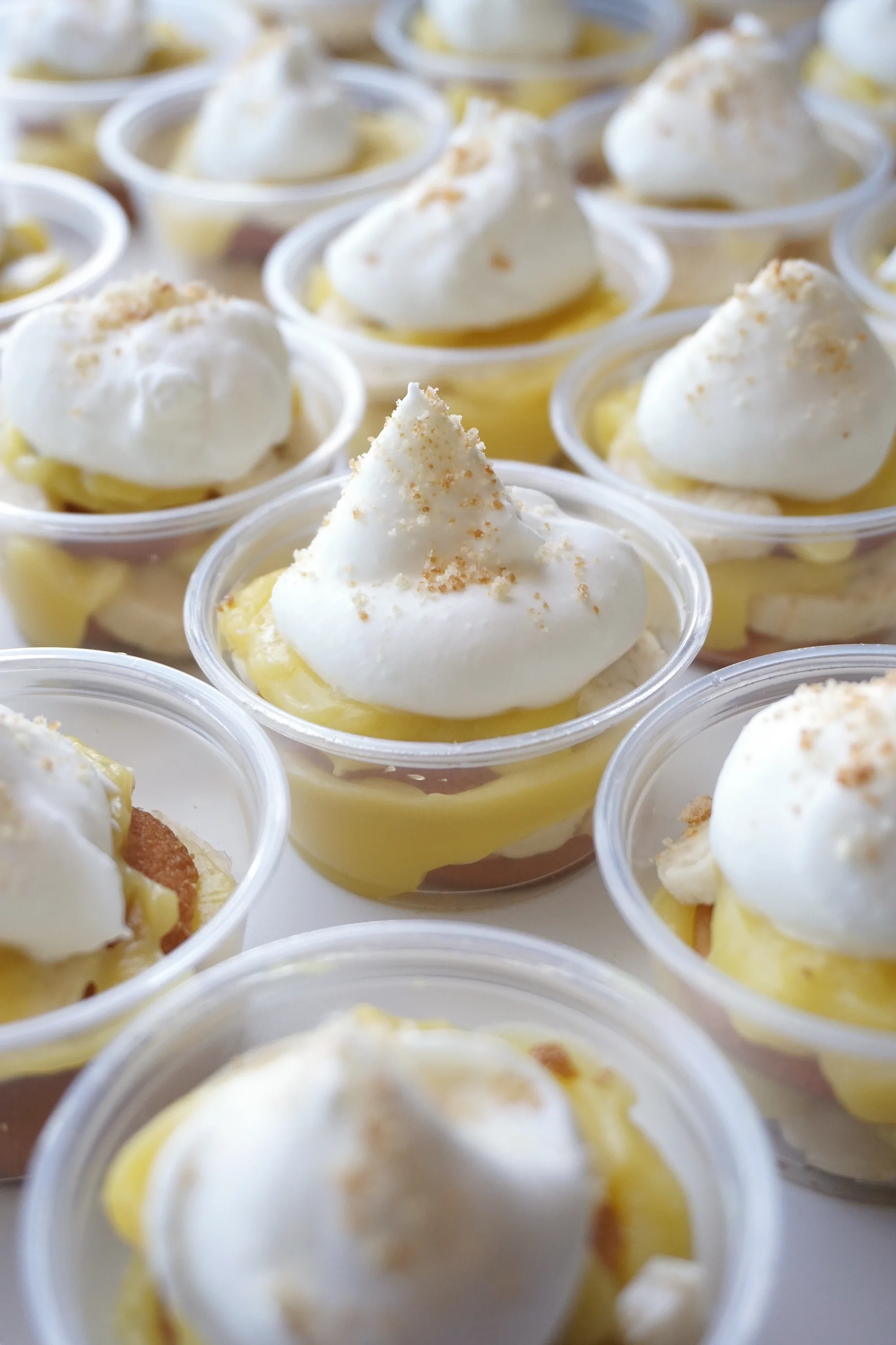 Banana Pudding and Non-Deflatable Homemade Whipped Cream