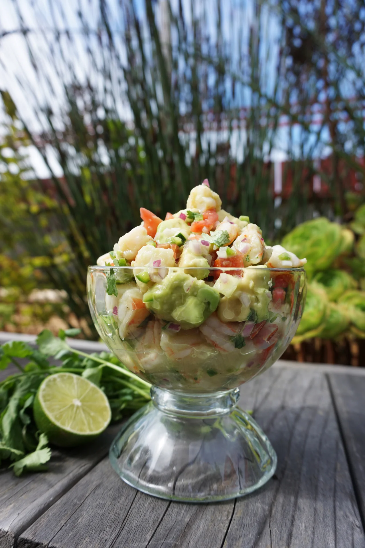 Refreshing Lime Shrimp & Avocado Salad - No Mayo!