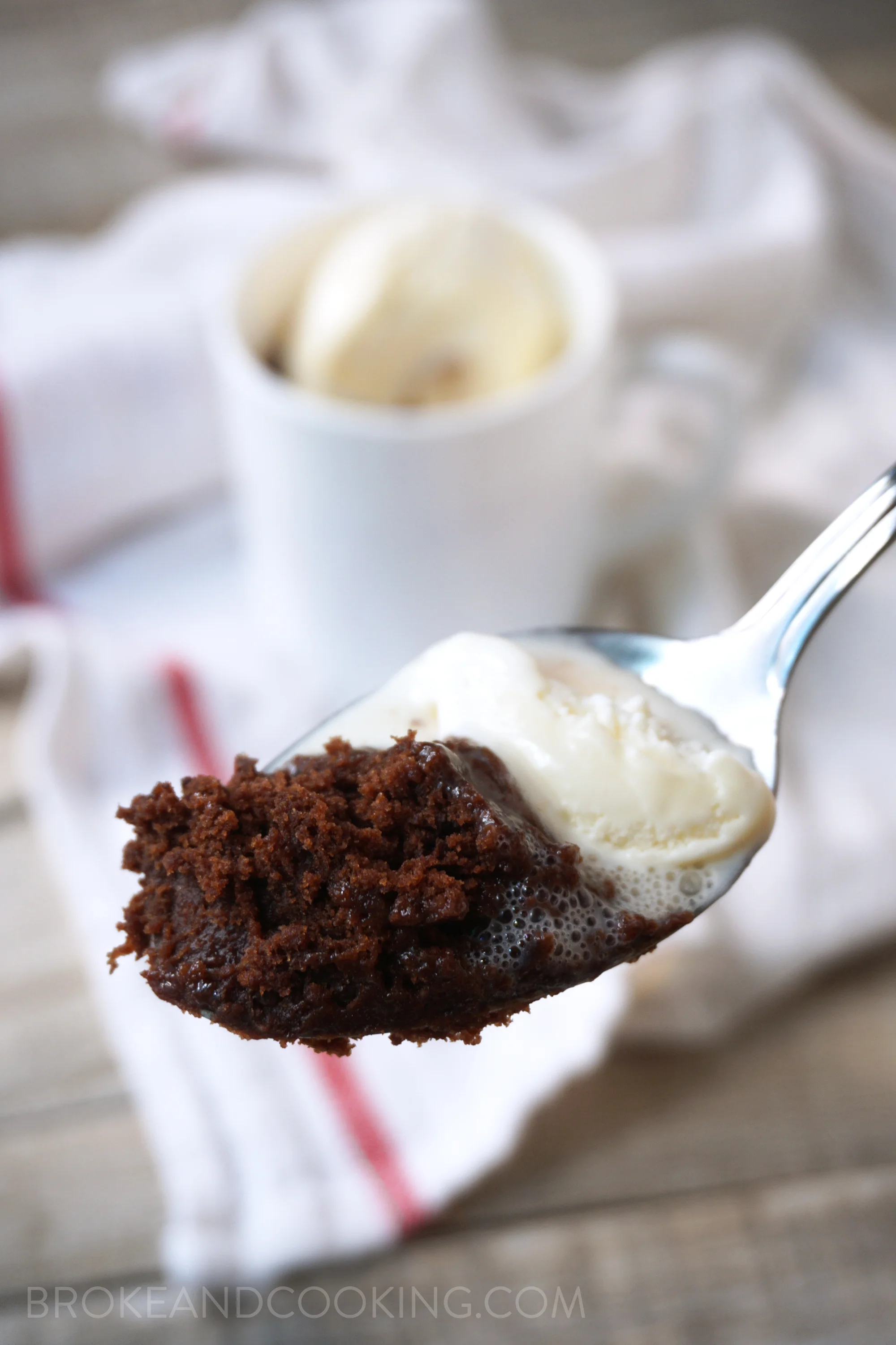 The One Minute, Single Serving Brownie