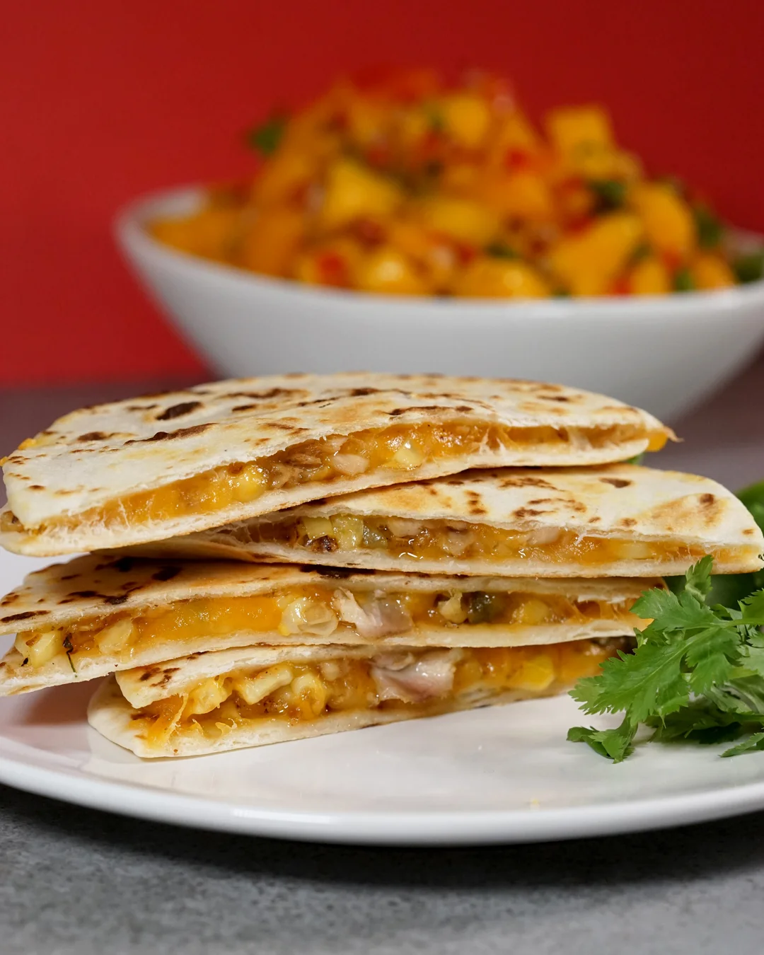 BrokeAndCooking_ChickenQuesadilla_6755.jpg