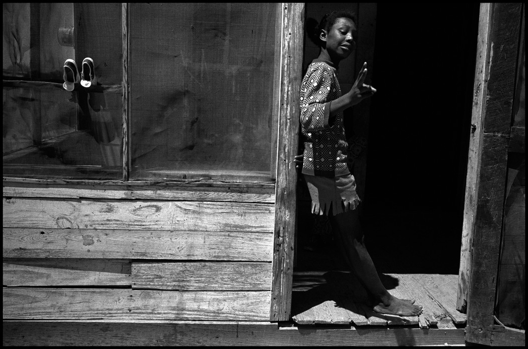  Alex Webb