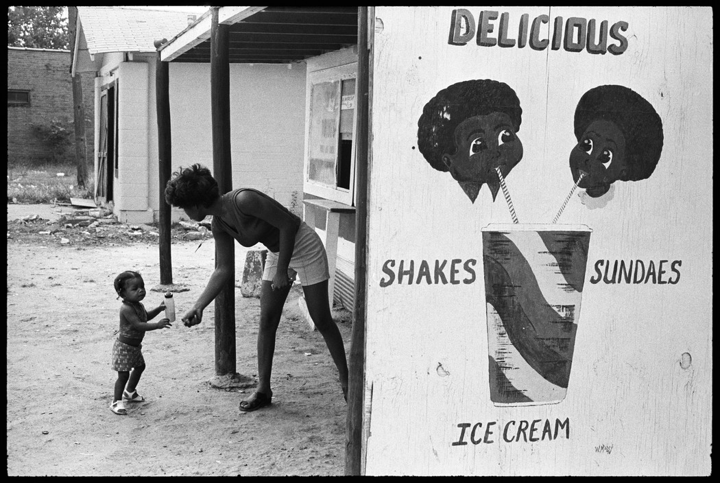 Alex Webb