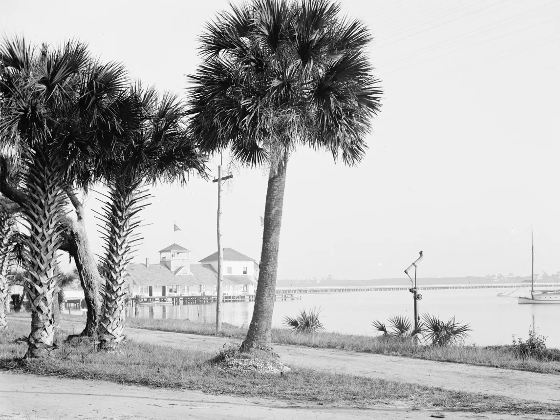 Photograph of the Halifax River Yacht Club and palms, Daytona Beach, Florida by Detroit Publishing Co (1900).