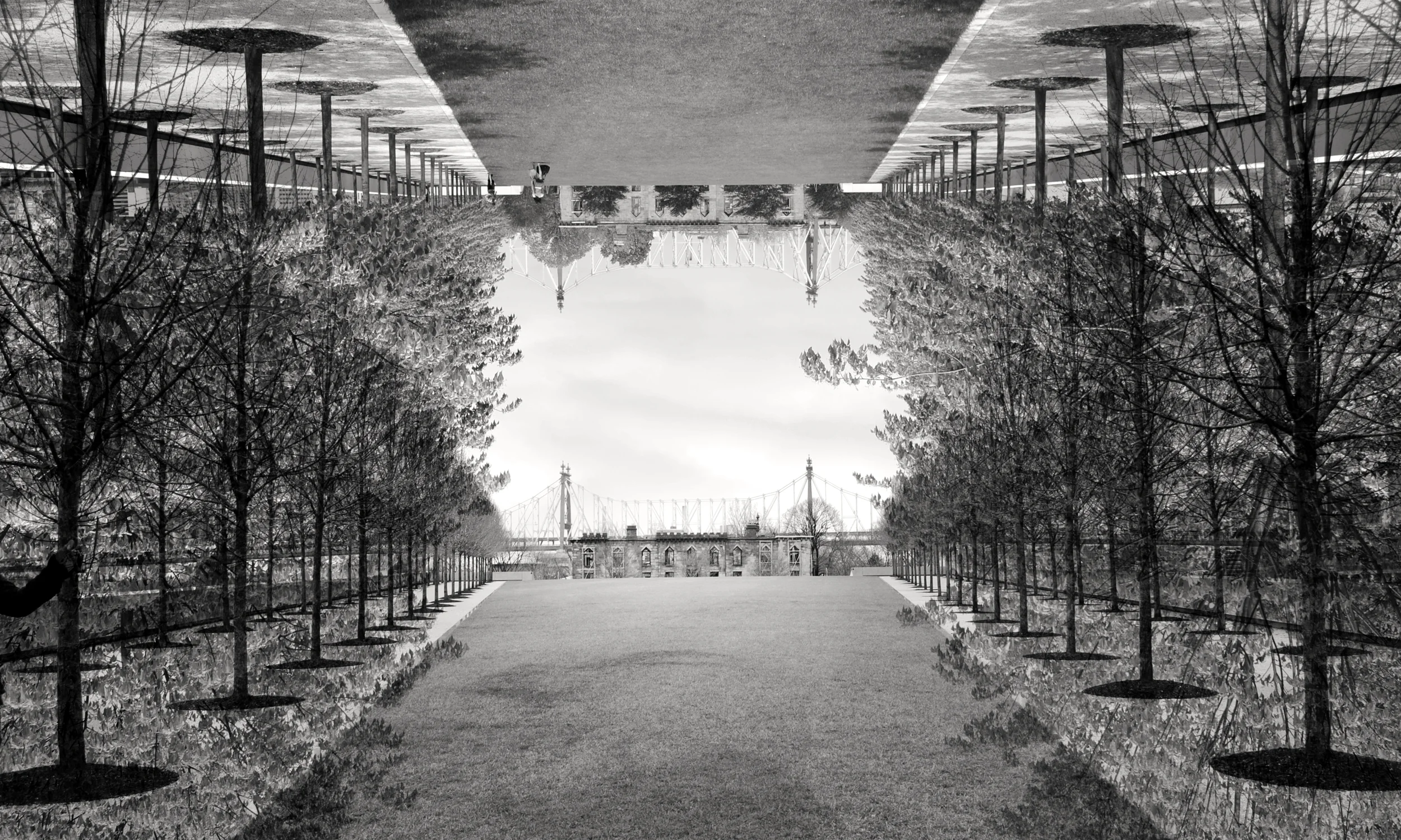 Kapelonis_Mirrored Image_bw.jpg
