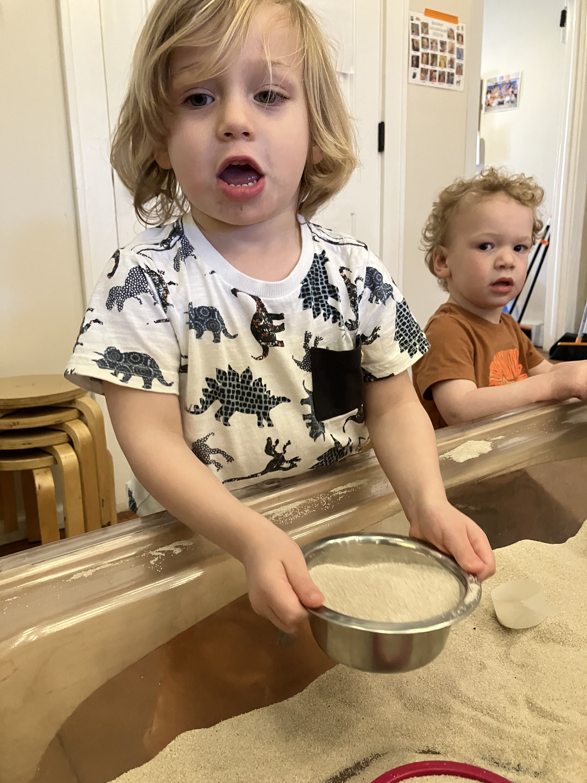 IMG_7234.jpeg
