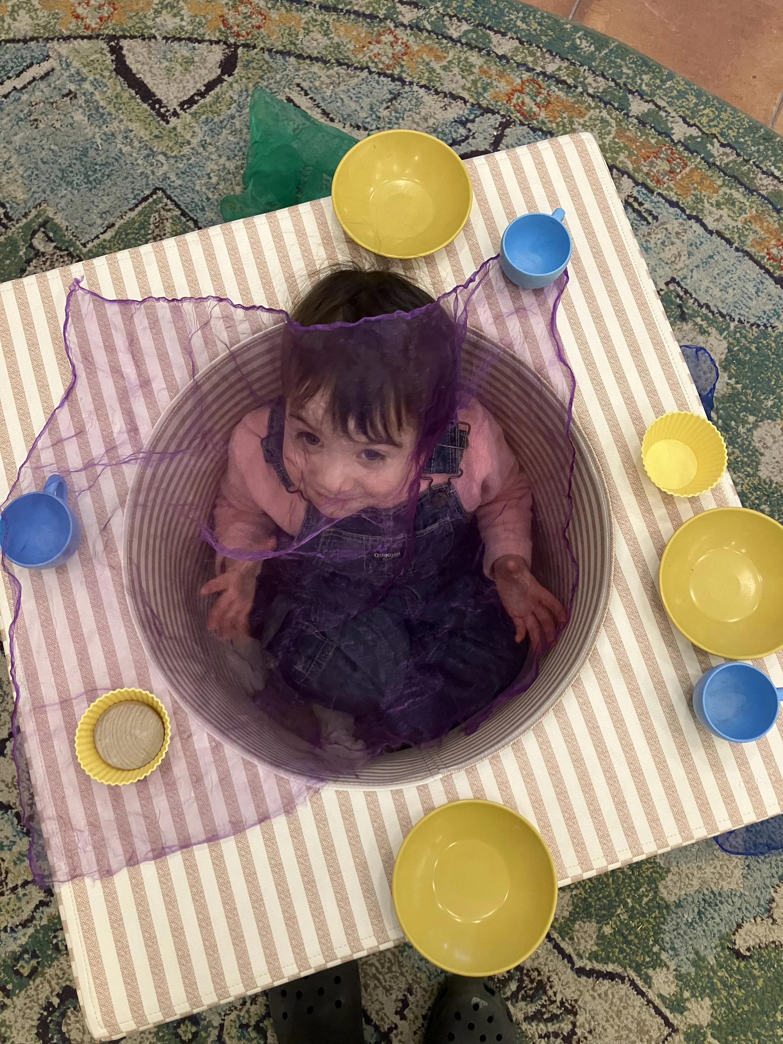 IMG_0550.jpeg