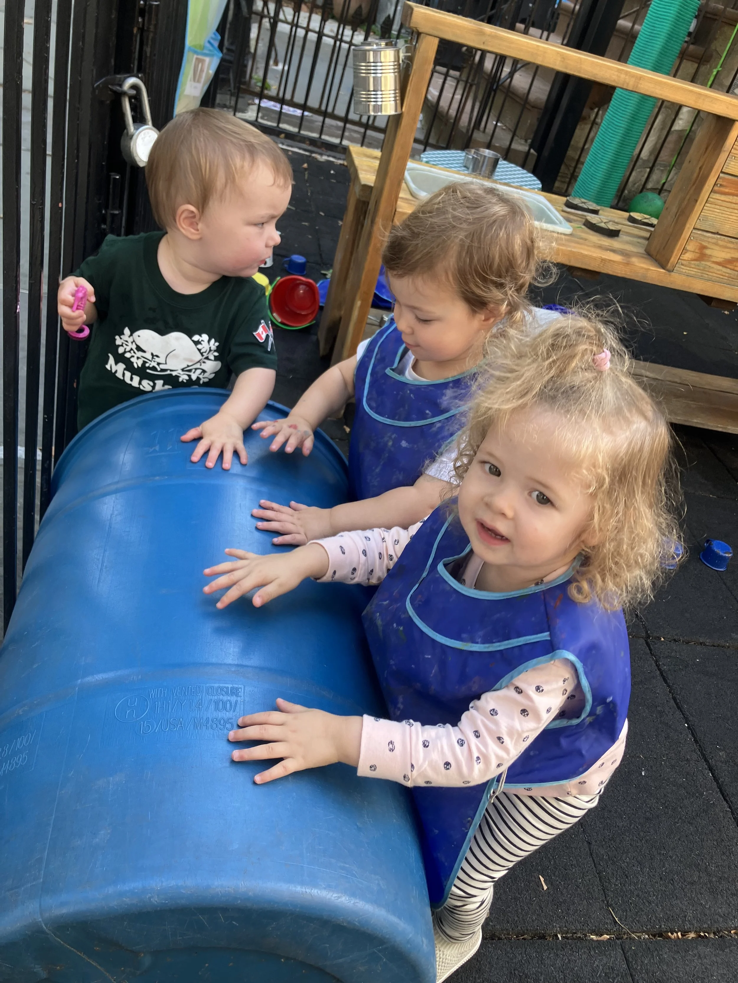 IMG_2702.jpeg