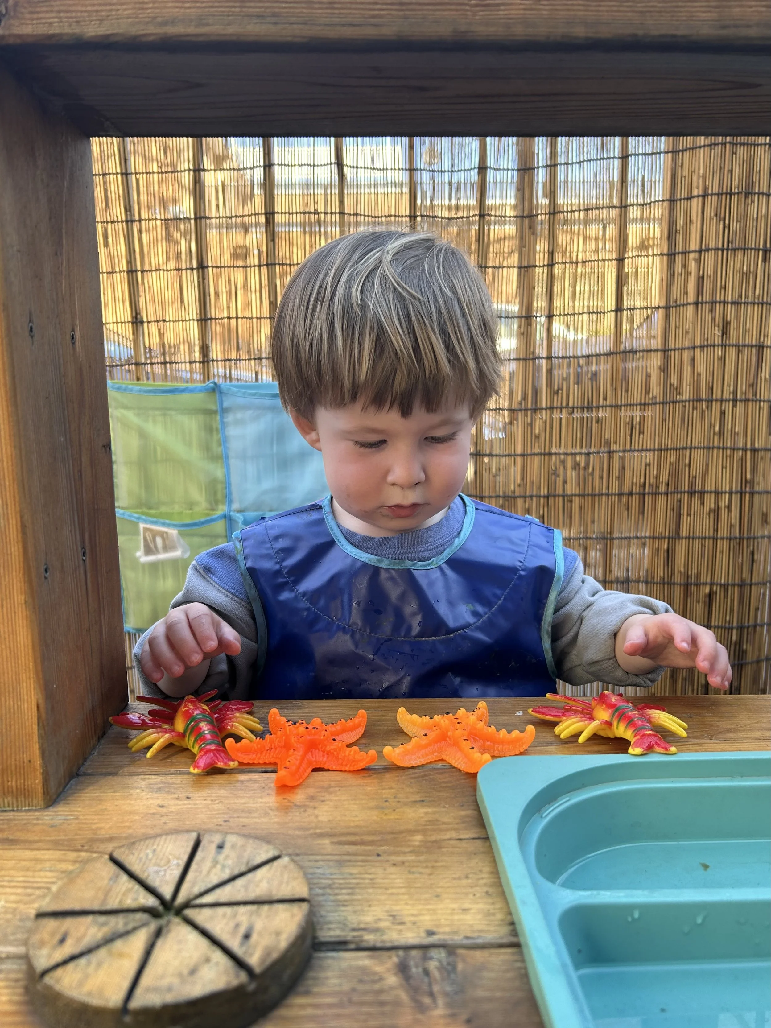 FullSizeRender (3).jpeg