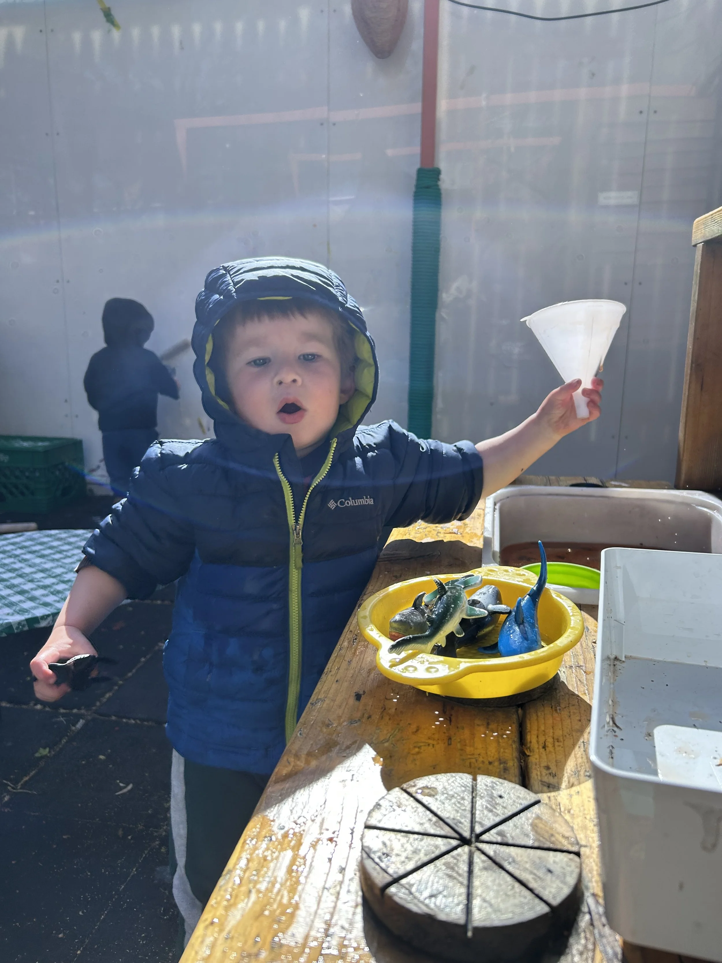 IMG_0384.jpeg
